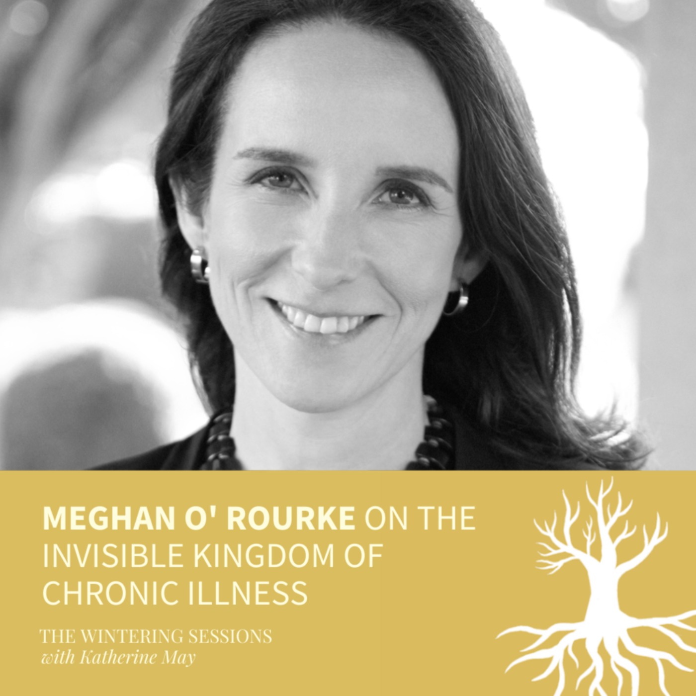 Meghan O' Rourke on the invisible kingdom of chronic illness