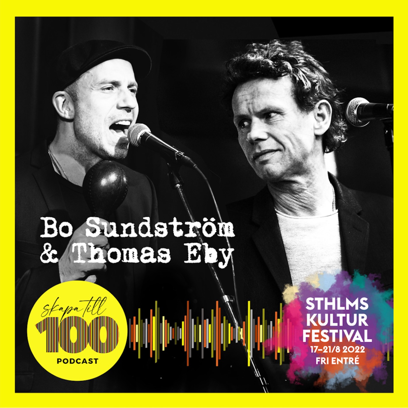 cover art for Bo Sundström & Thomas Eby: "Var lagom jävla dum."