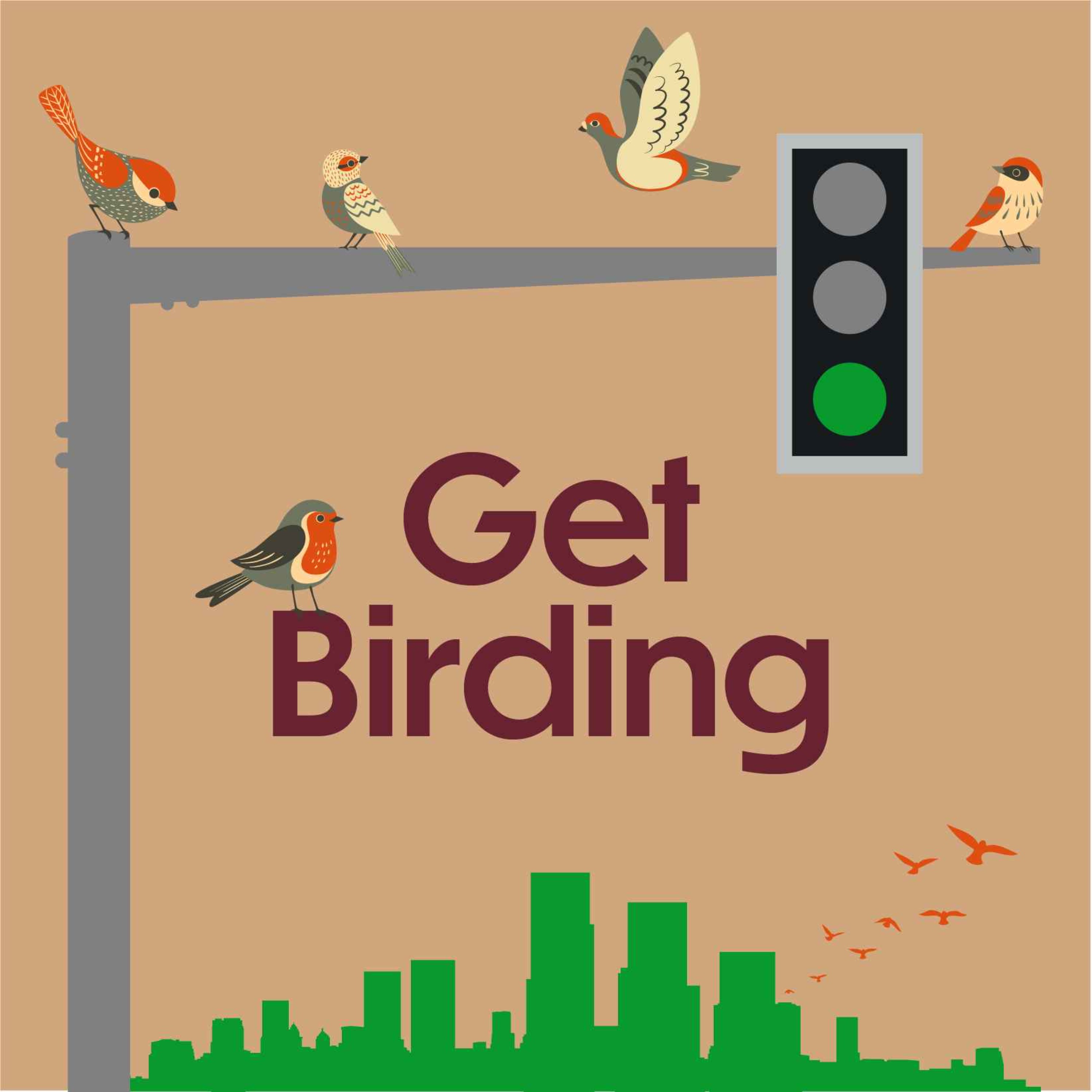 Get Birding podcast show image