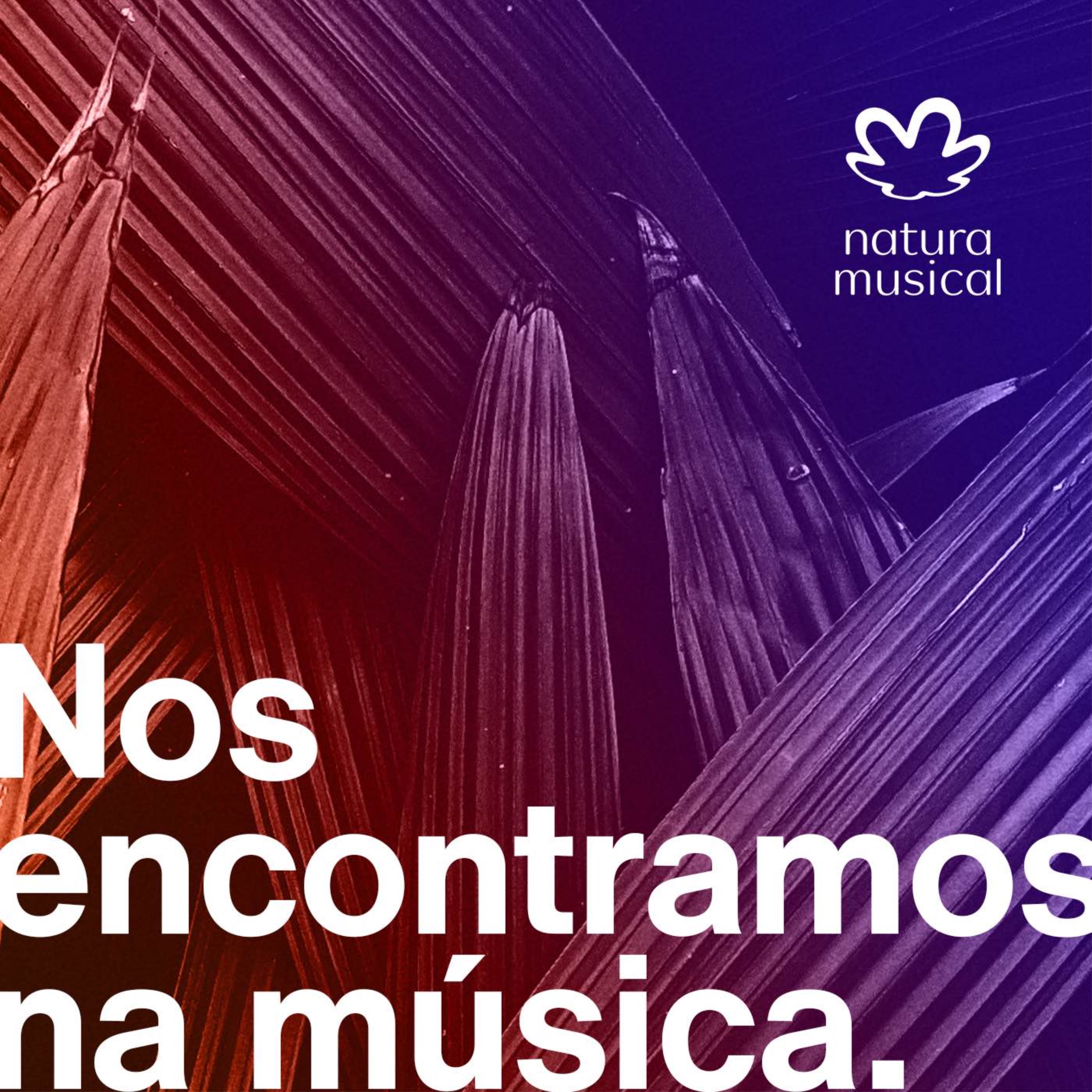 cover art for Vem aí o podcast de Natura Musical "Nos Encontramos Na Música"