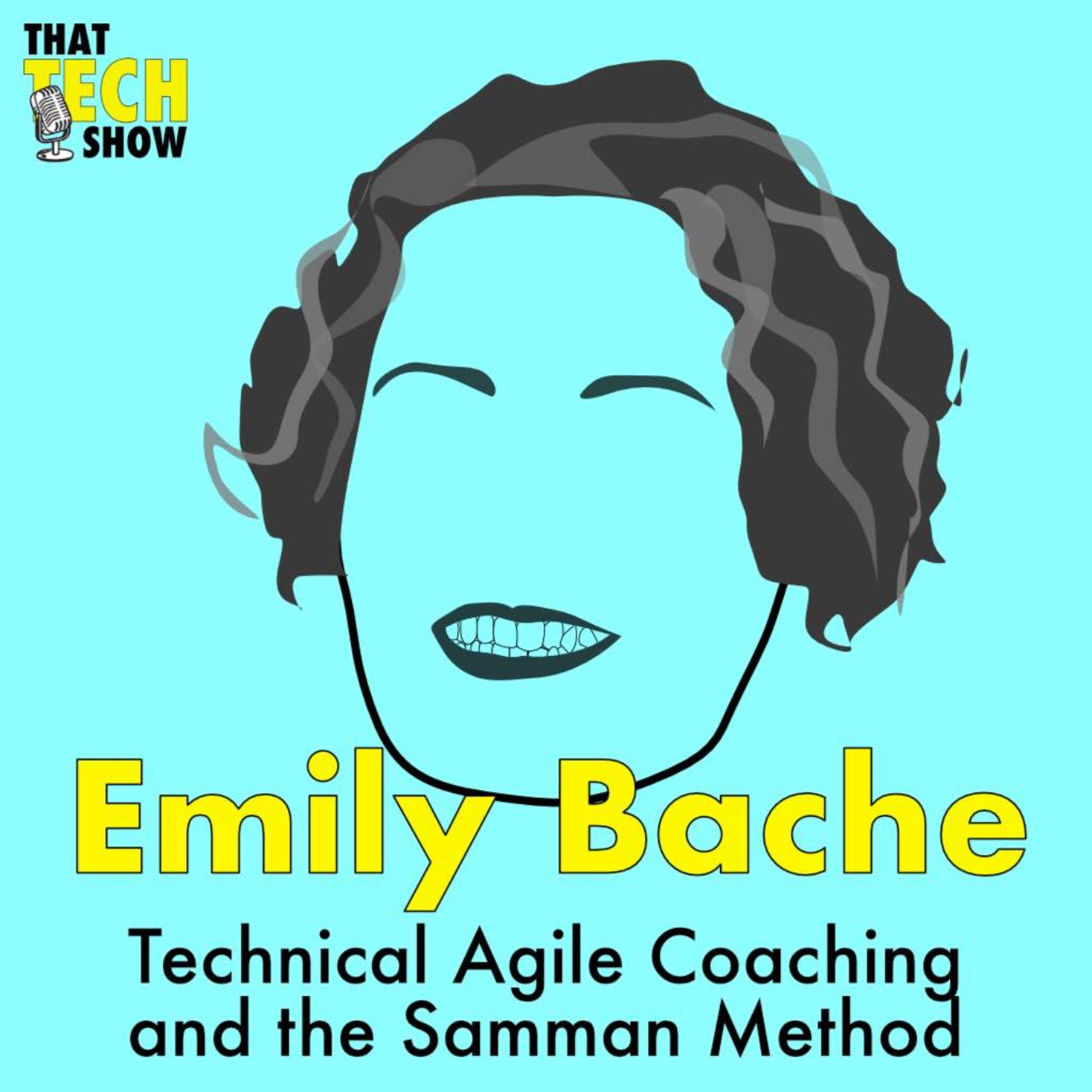 cover art for Episode 39 - Technical Agile Coaching and the Samman Method with Emily Bache