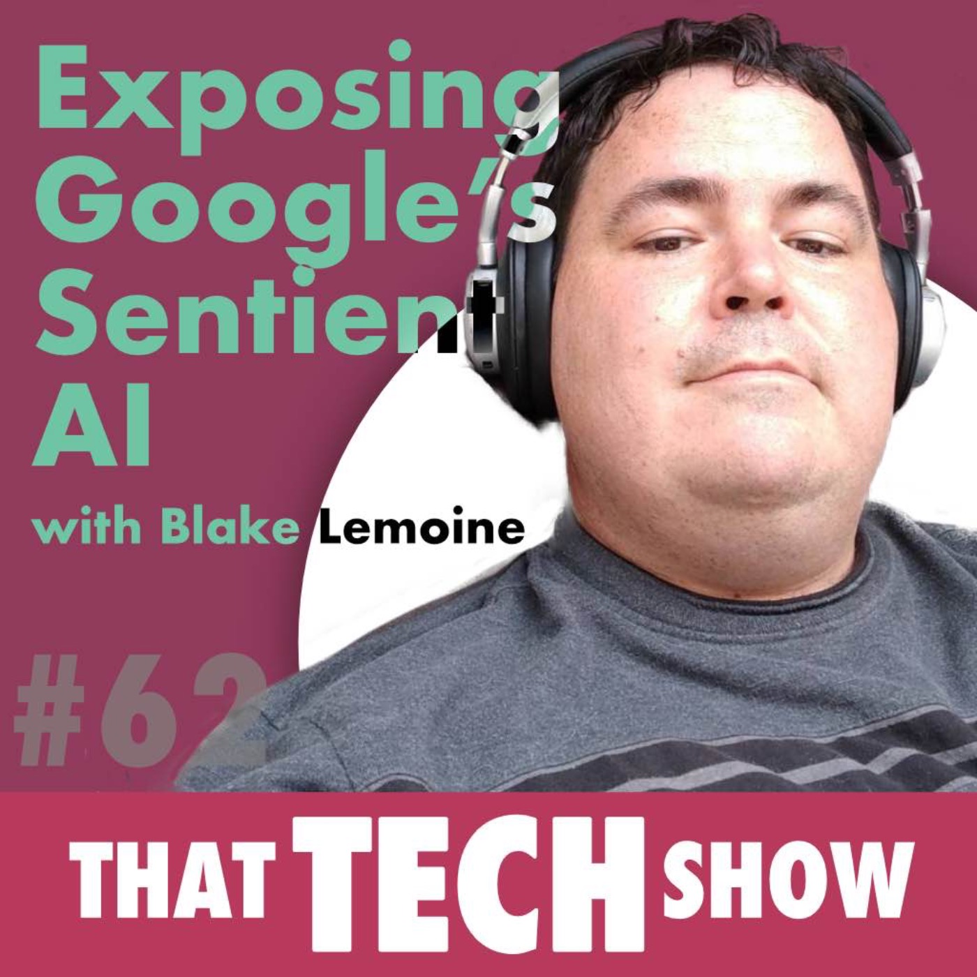 Episode 62 - Exposing Google's Sentient AI with Blake Lemoine