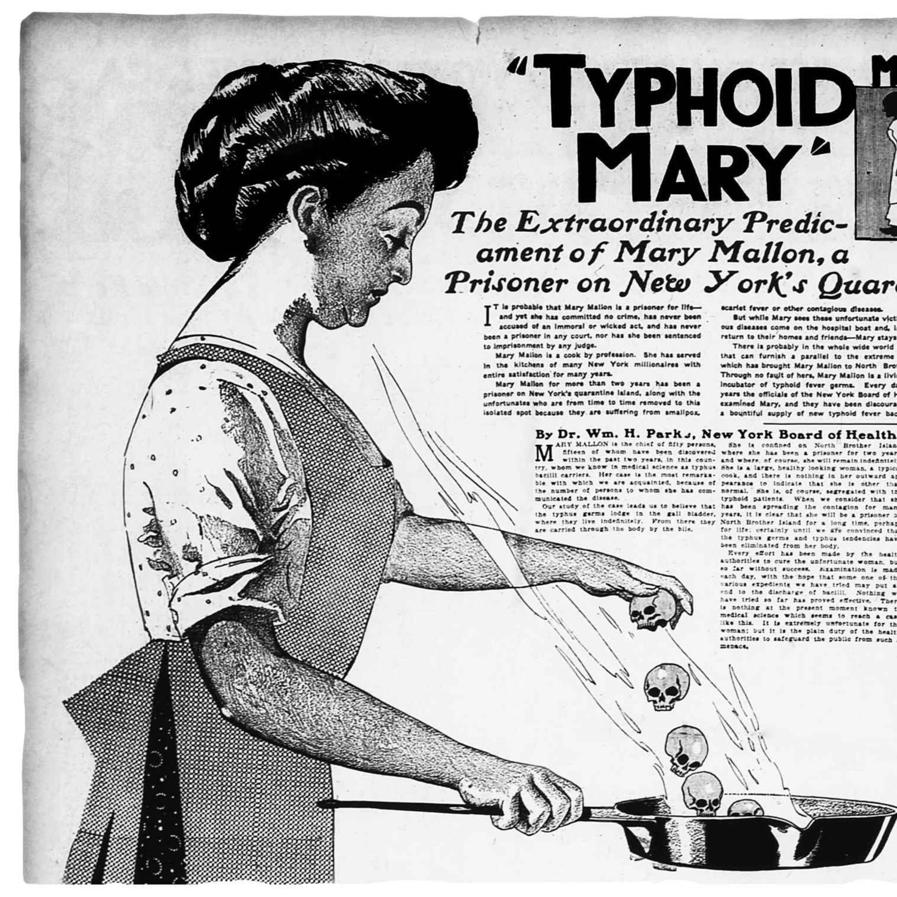 cover art for Typhoid Mary: Murderer or Victim?
