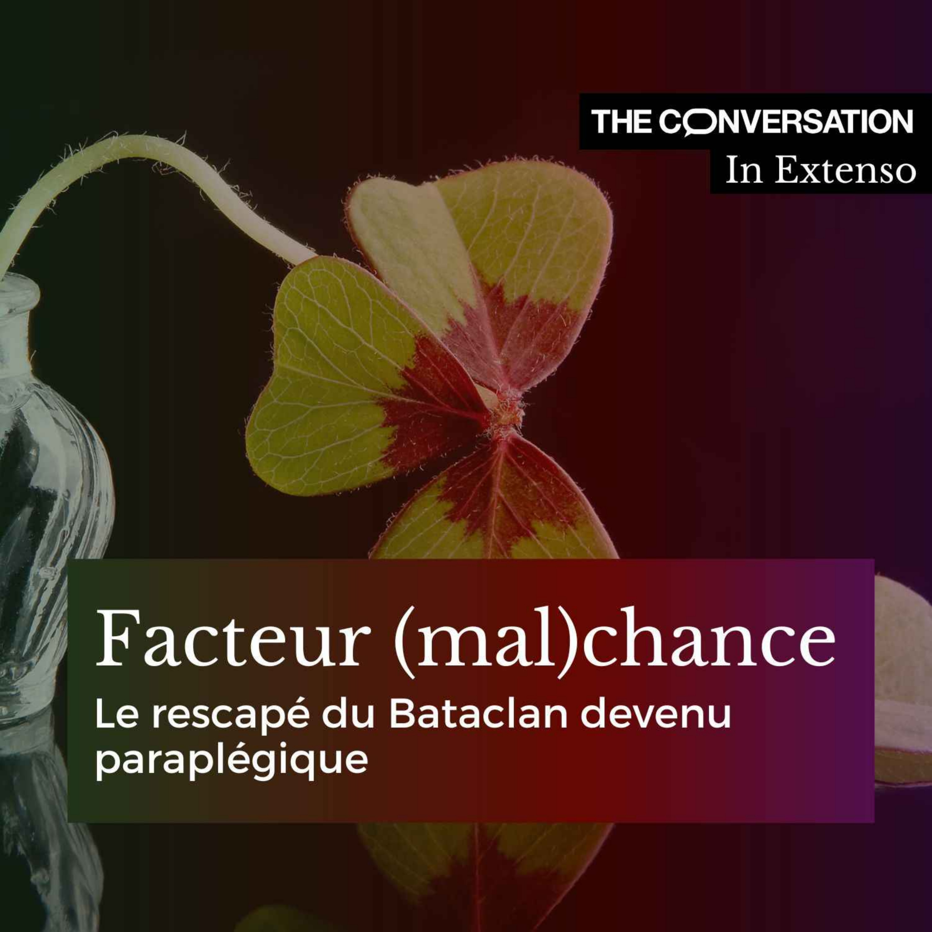 Facteur (mal)chance : le rescapé du Bataclan devenu paraplégique 