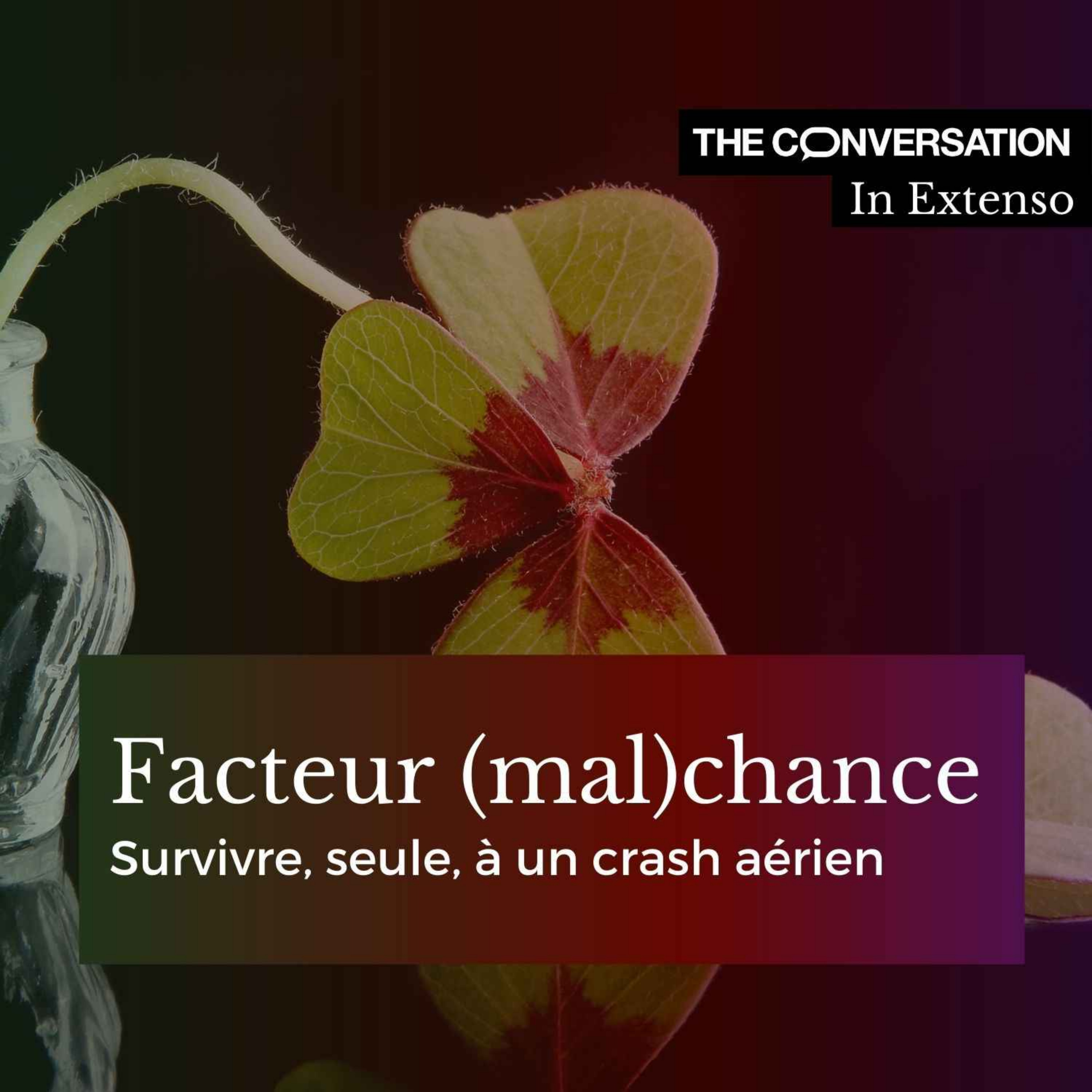 Facteur (mal)chance :  survivre, seule, à un crash aérien