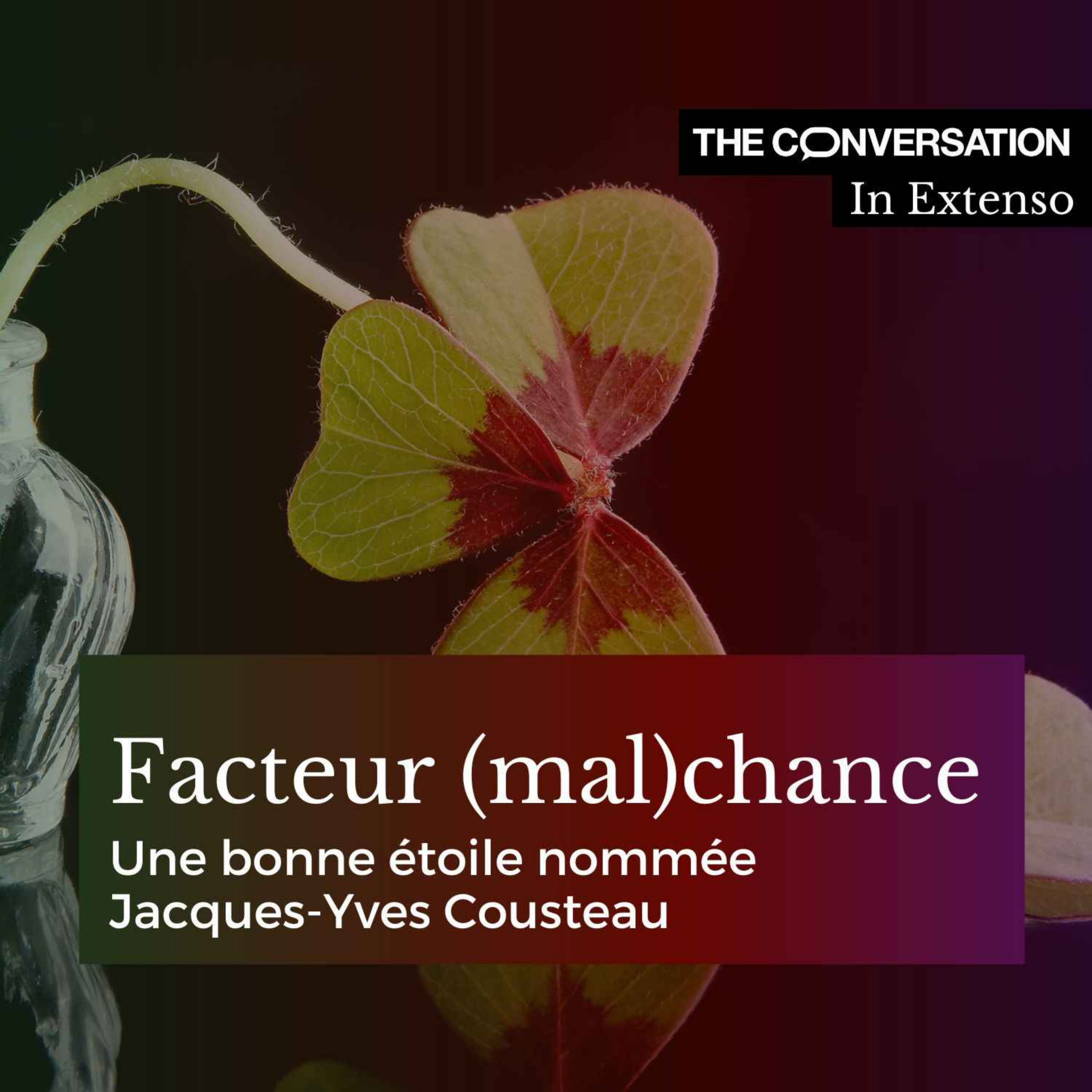 Facteur (mal)chance : une bonne étoile nommée Jacques-Yves Cousteau 