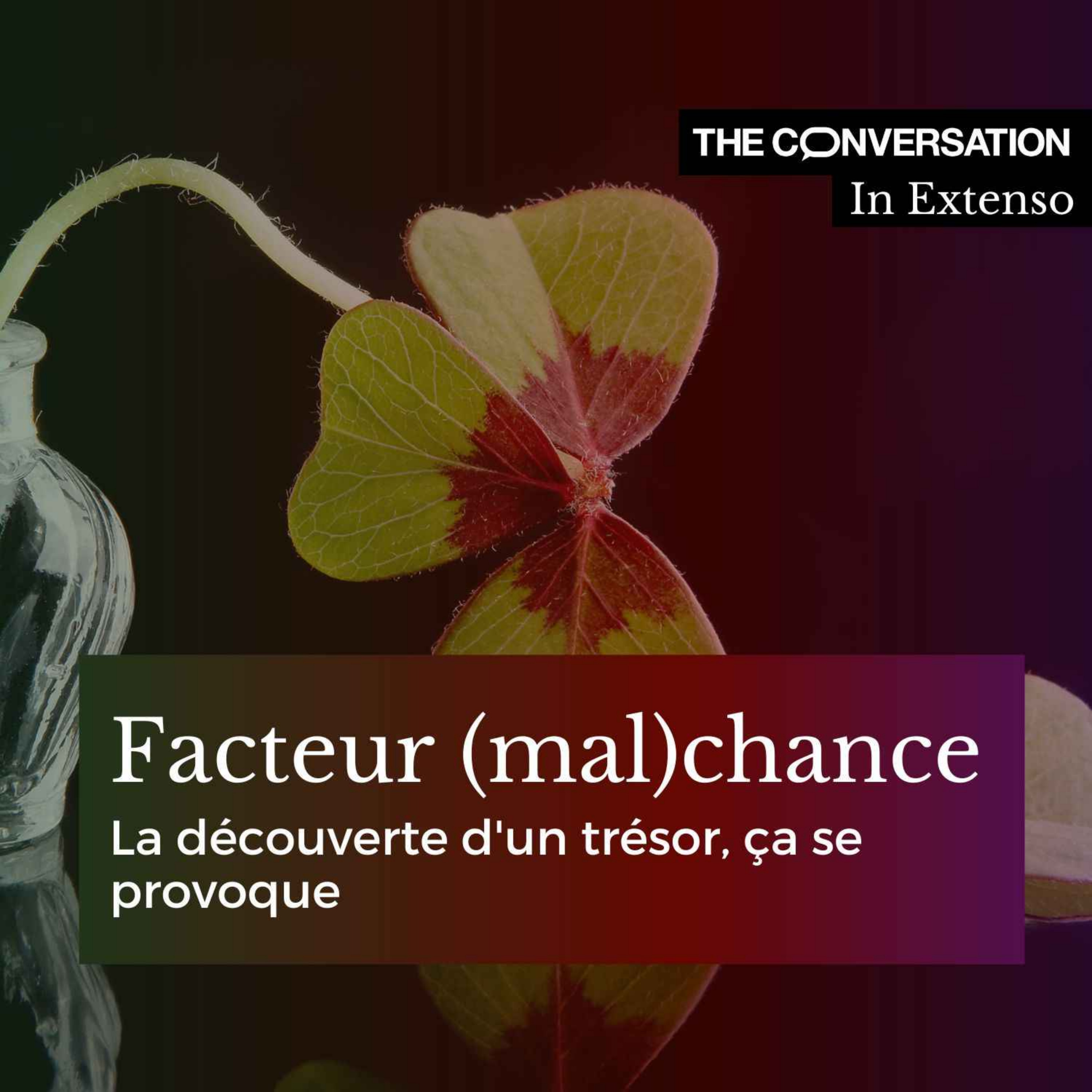 Facteur (mal)chance : la découverte d'un trésor, ça se provoque