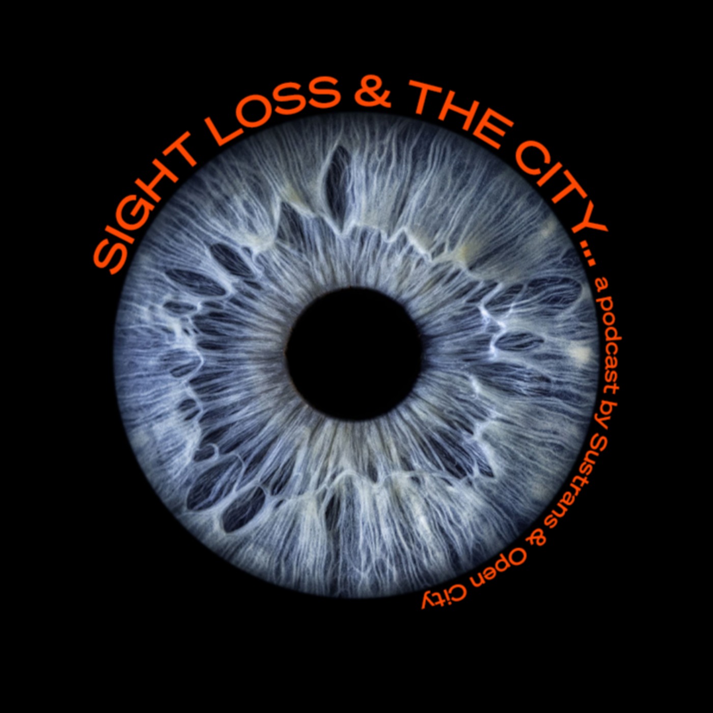 Sight loss and the city