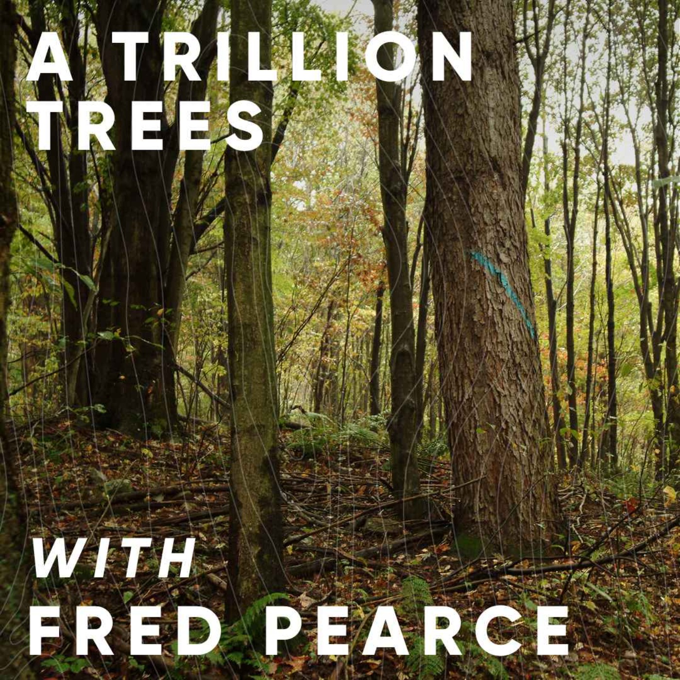 cover art for Words on Wood: A Trillion Trees with Fred Pearce