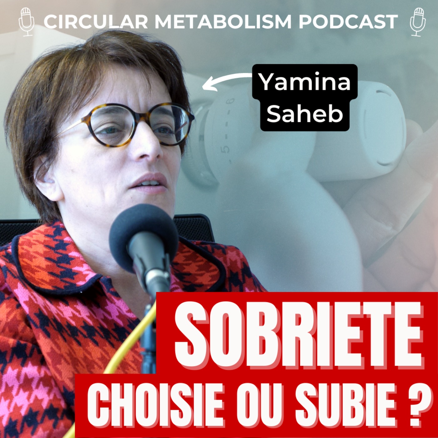 cover art for Vers une sobriété choisie - (Podcast avec Yamina Saheb)