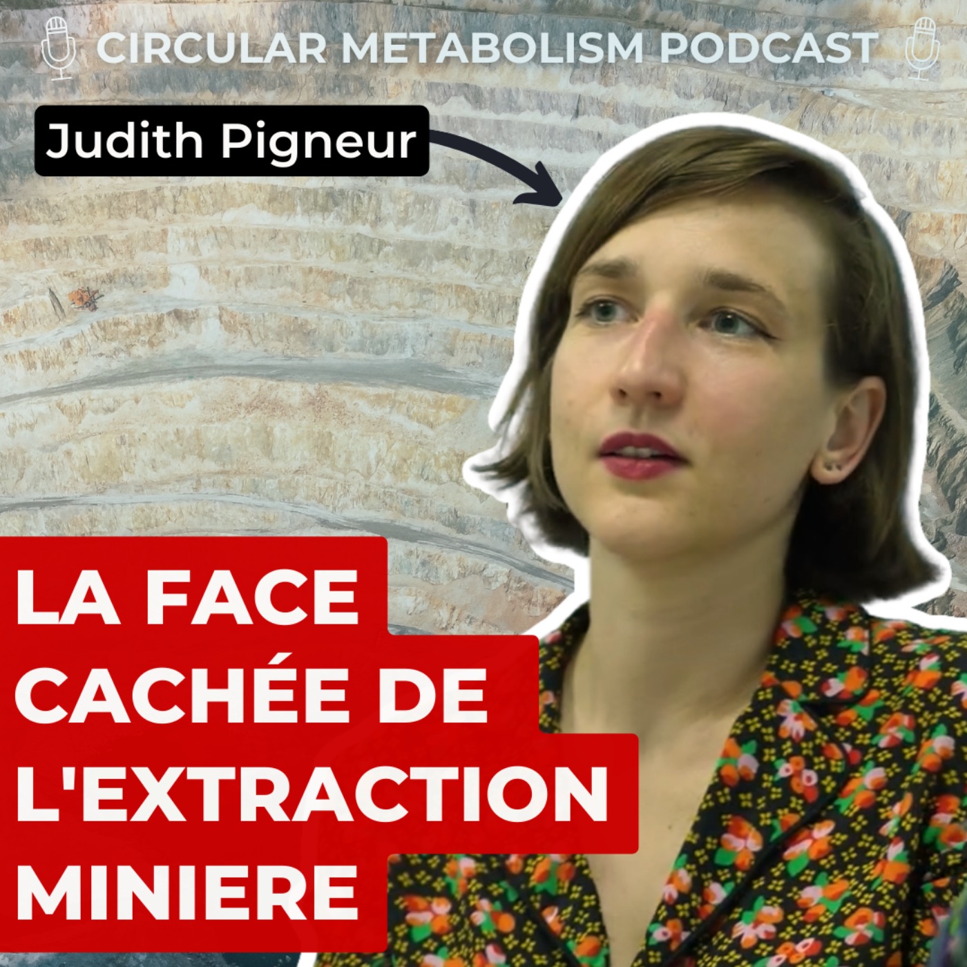 cover art for La Face Cachée de l'Extraction Minière (Judith Pigneur - négaWatt)