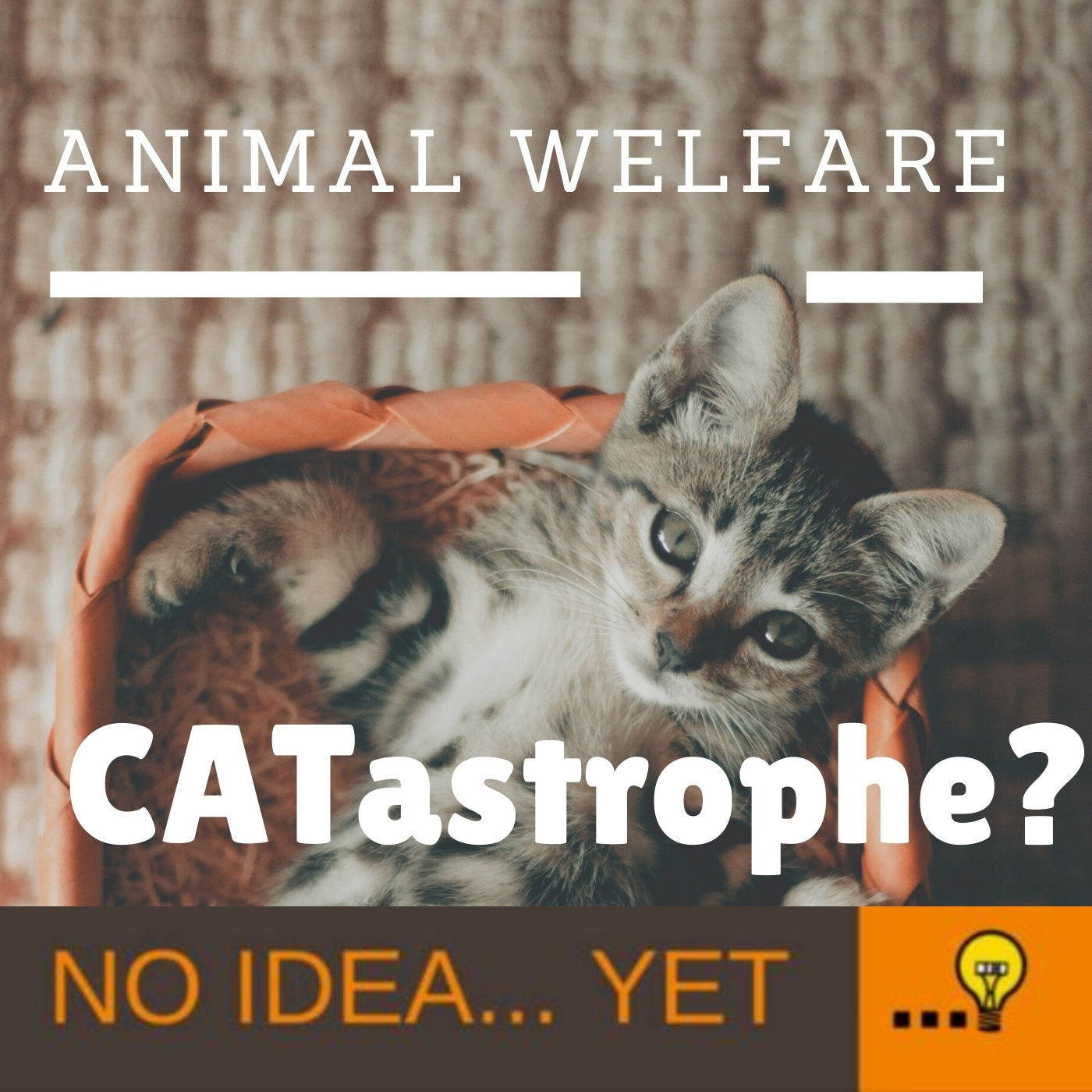 cover art for Ep. 4 Is Animal Welfare a Cat-astrophe?
