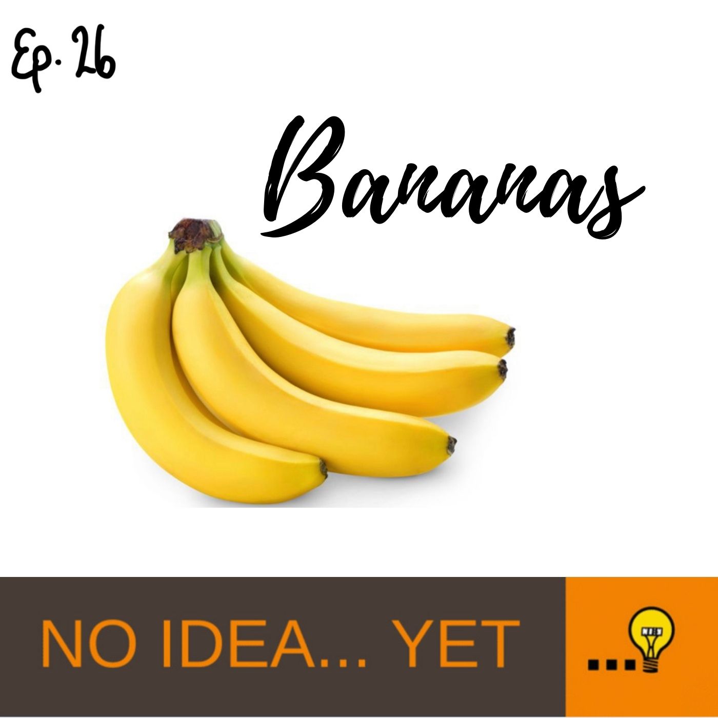 No Idea... Yet