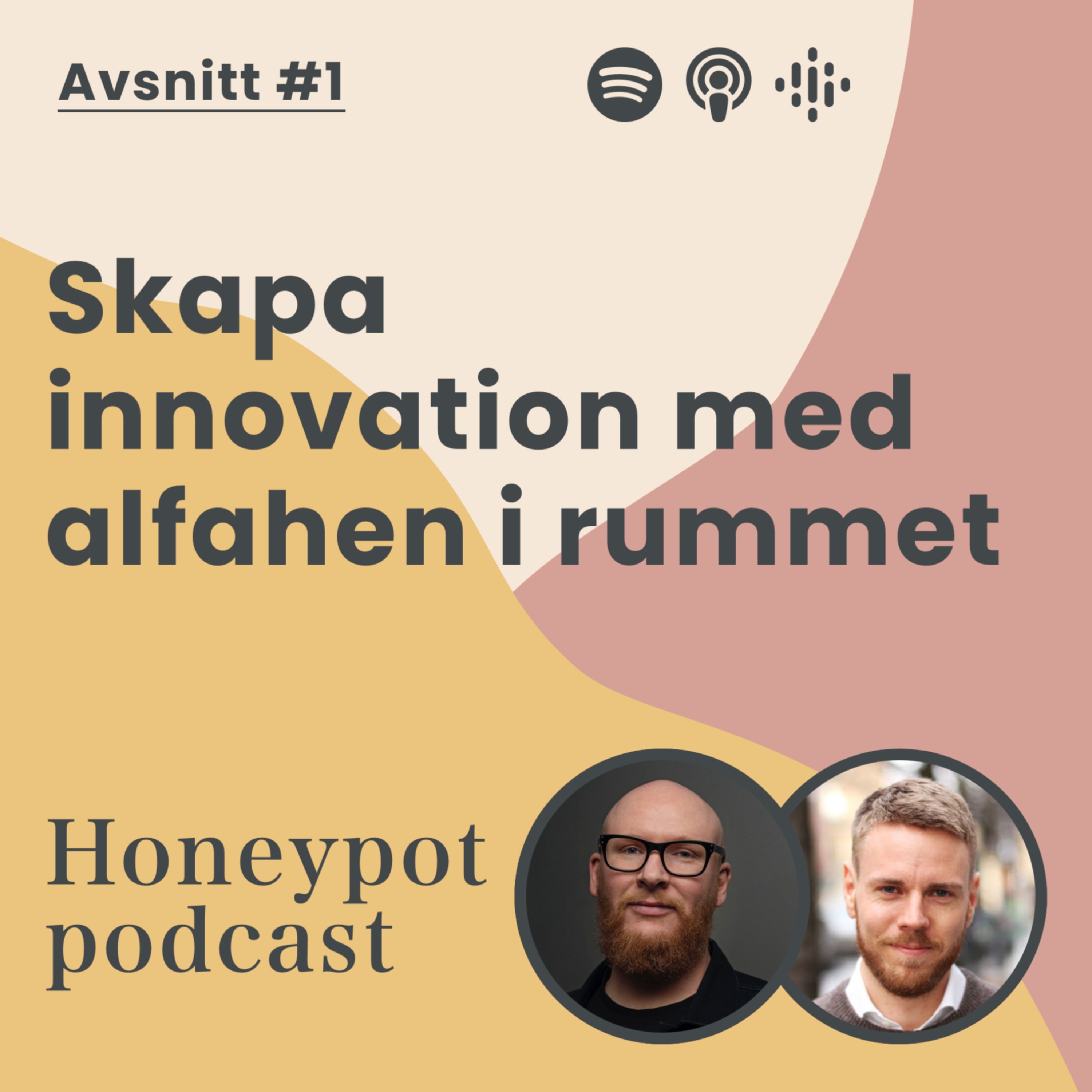 cover art for Skapa innovation med alfahen i rummet