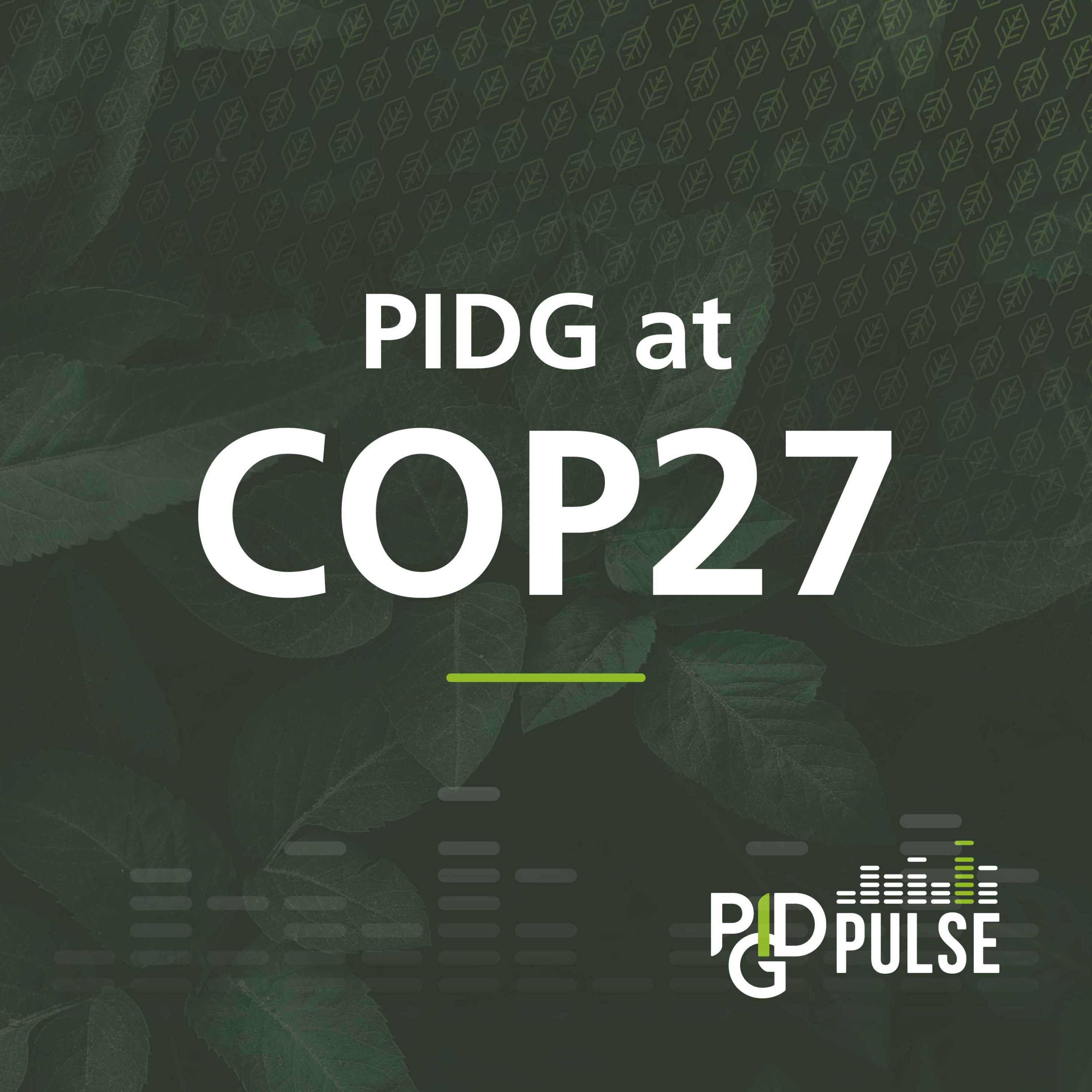 PIDG Pulse