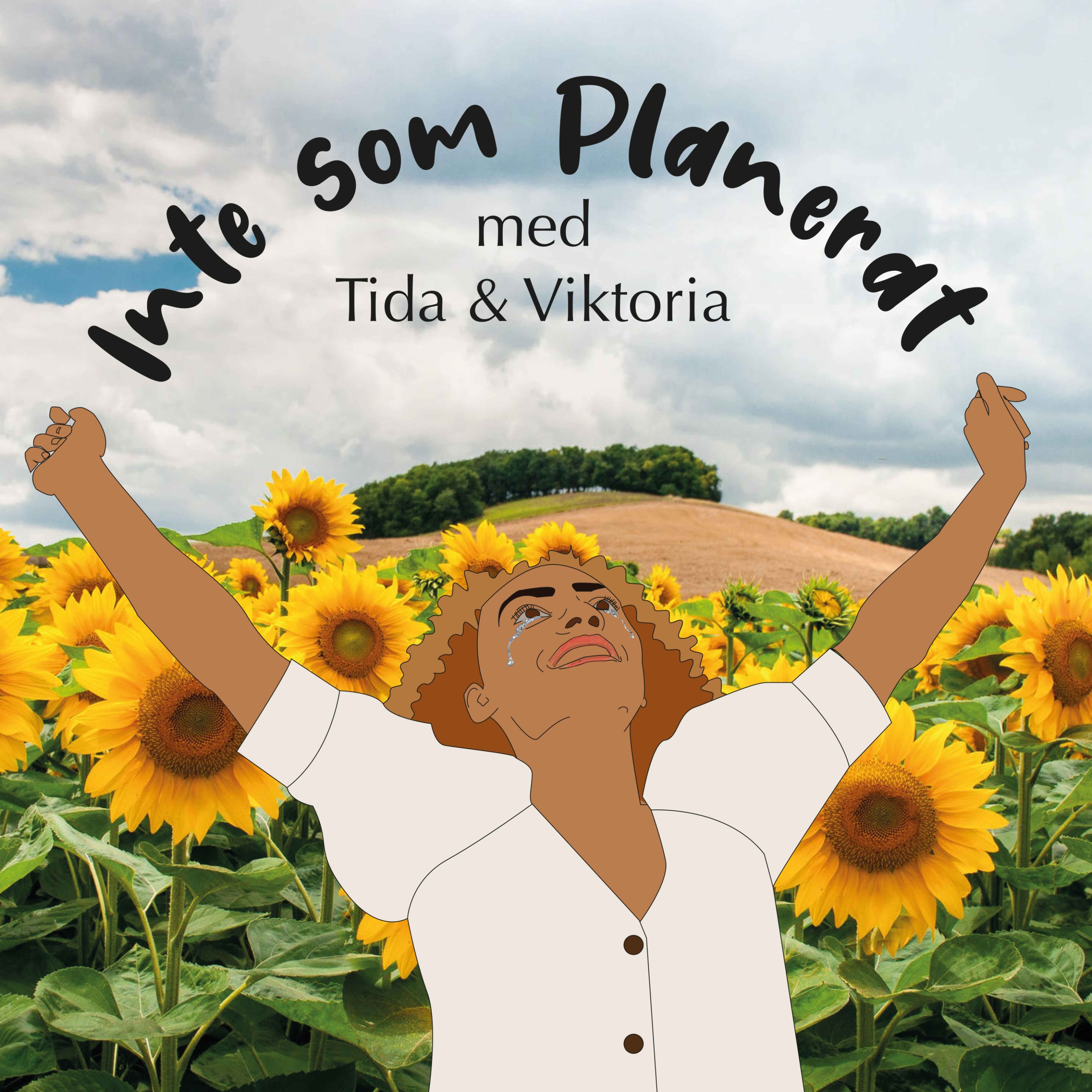 Inte Som Planerat