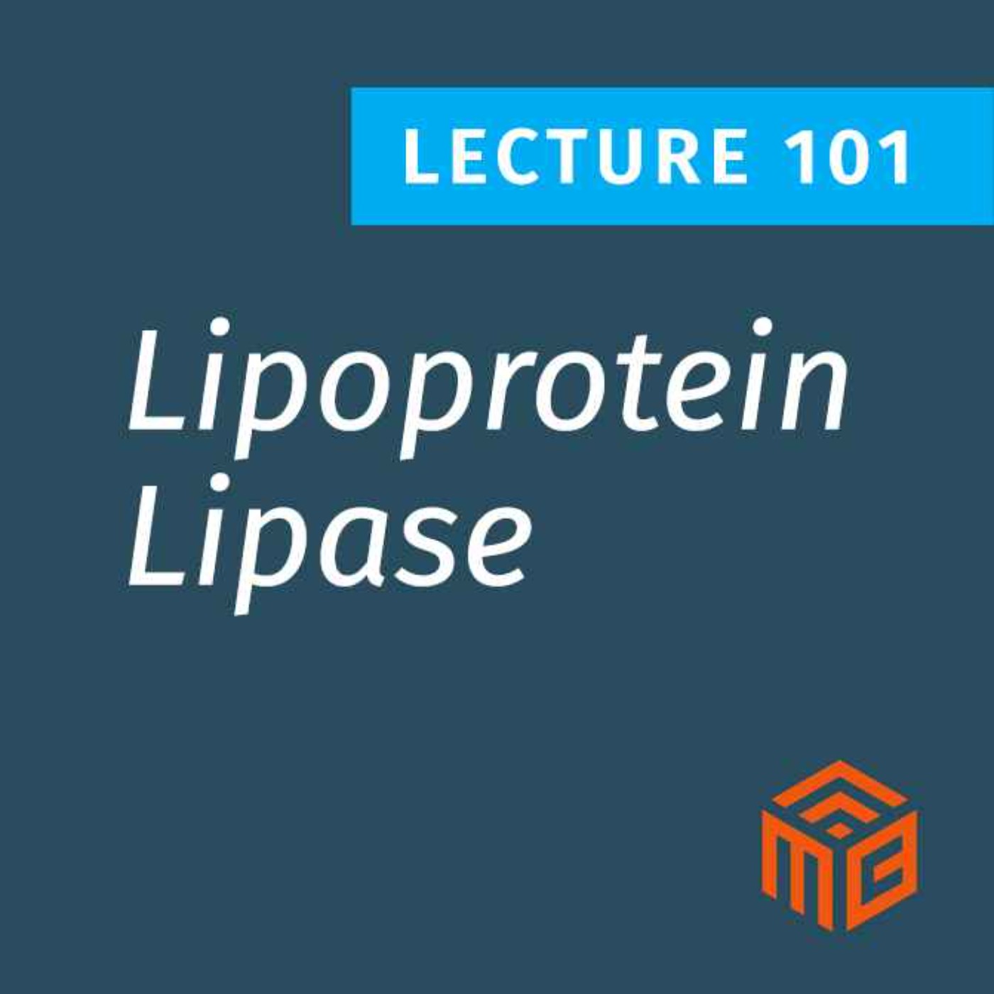 How Lipoprotein Lipase (LPL) Determines Where Your Body Stores Fat