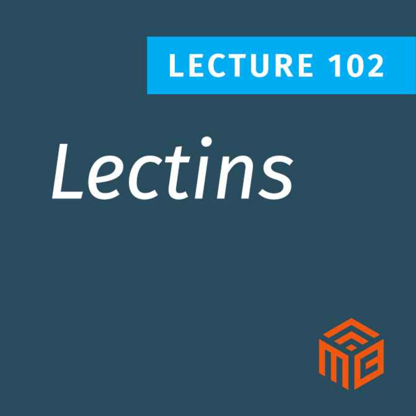 How Lectins Disrupt Insulin, Gut Health, and Immunity