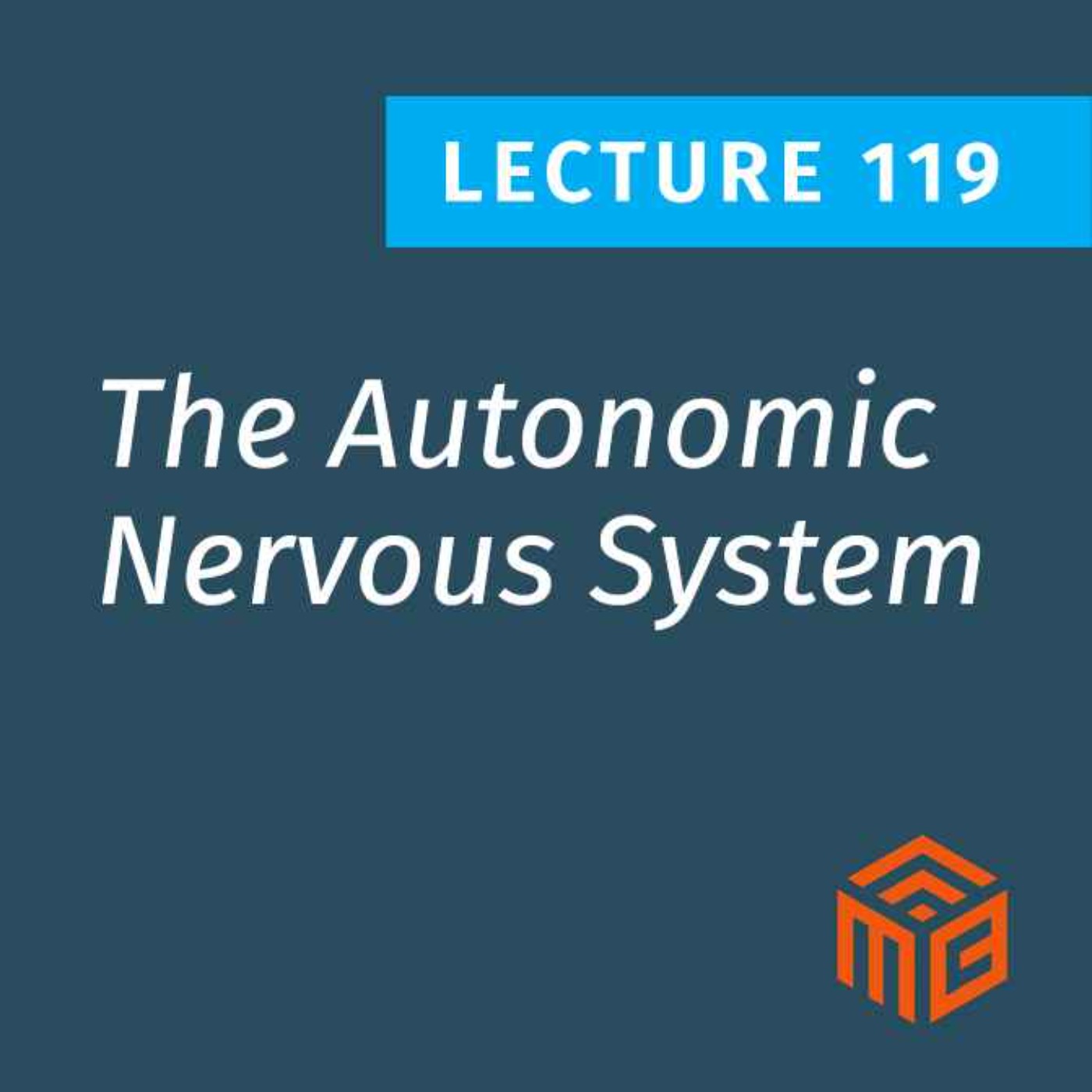 How Your Nervous System Controls Metabolism: Fight or Flight vs Rest & Digest