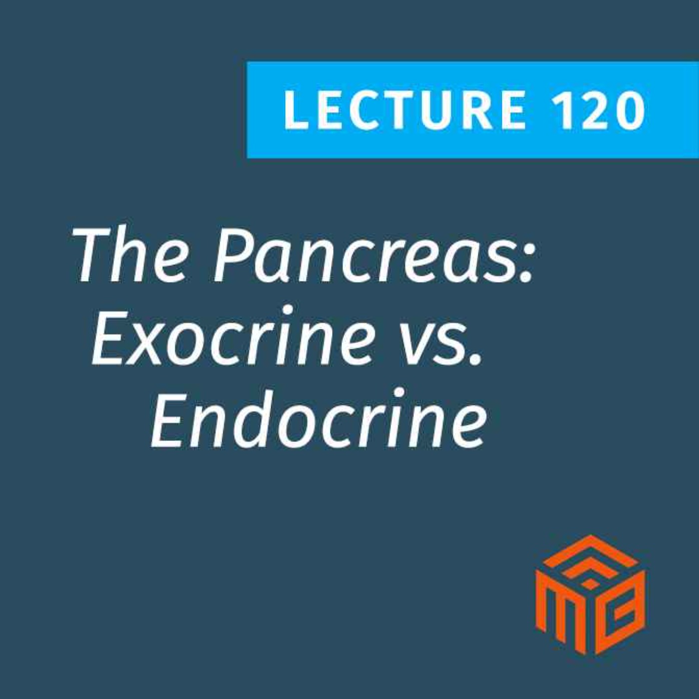 The Pancreas: Our Most Underrated Metabolic Organ & Why Its Health is Vital