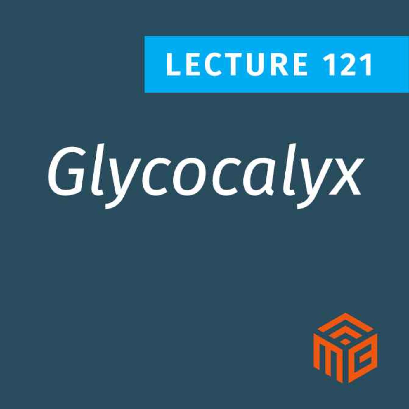 Why the Glycocalyx is a Hidden Key to Metabolic Health & How to Protect It