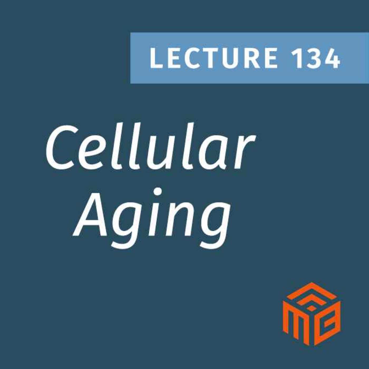 Why Your Cells Age (And What You Can Do About It)