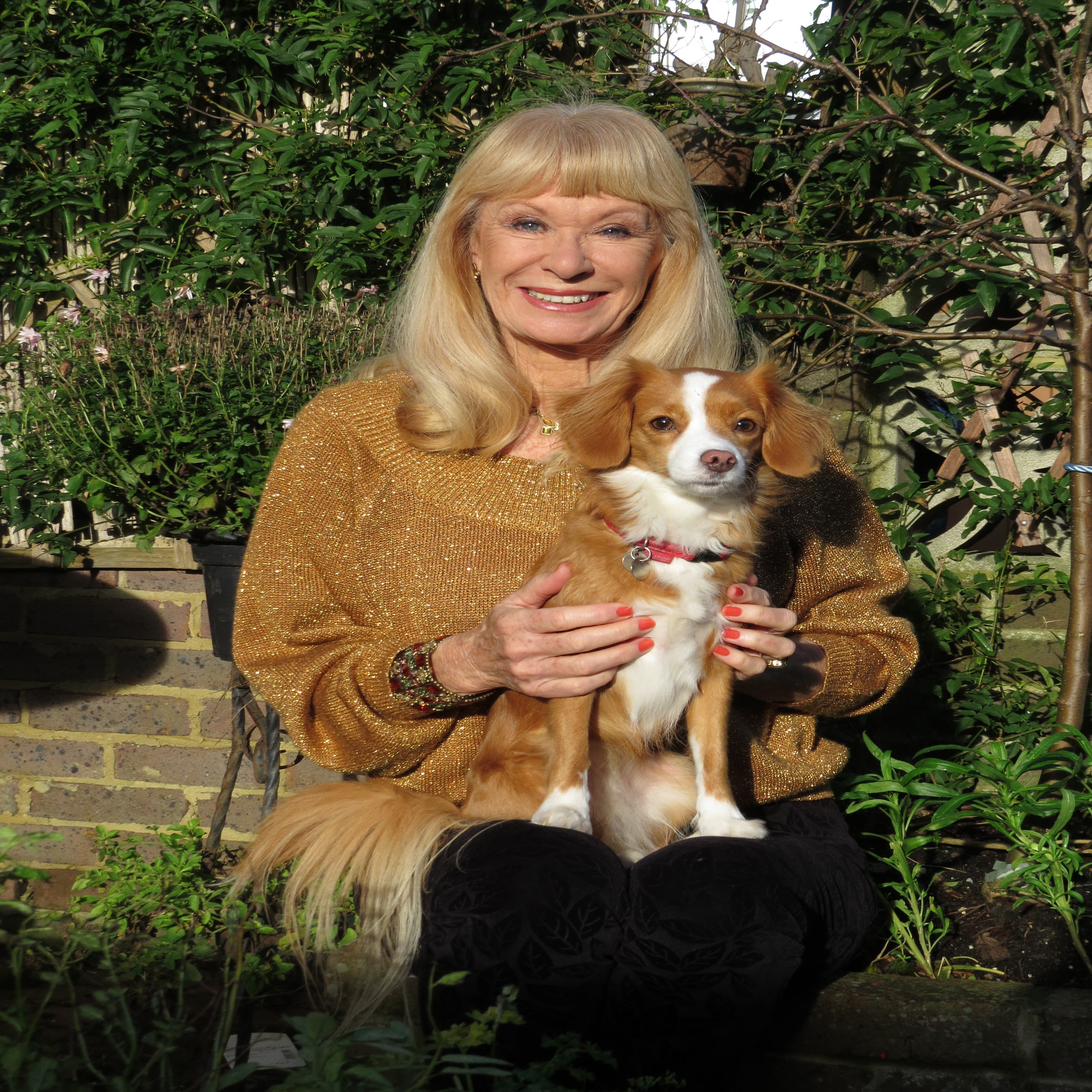 cover art for CAROL CLEVELAND, of Monty Python fame, interview