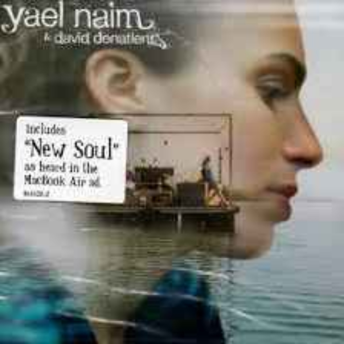 cover art for YAEL NAIM & DAVID DONATIEN interview