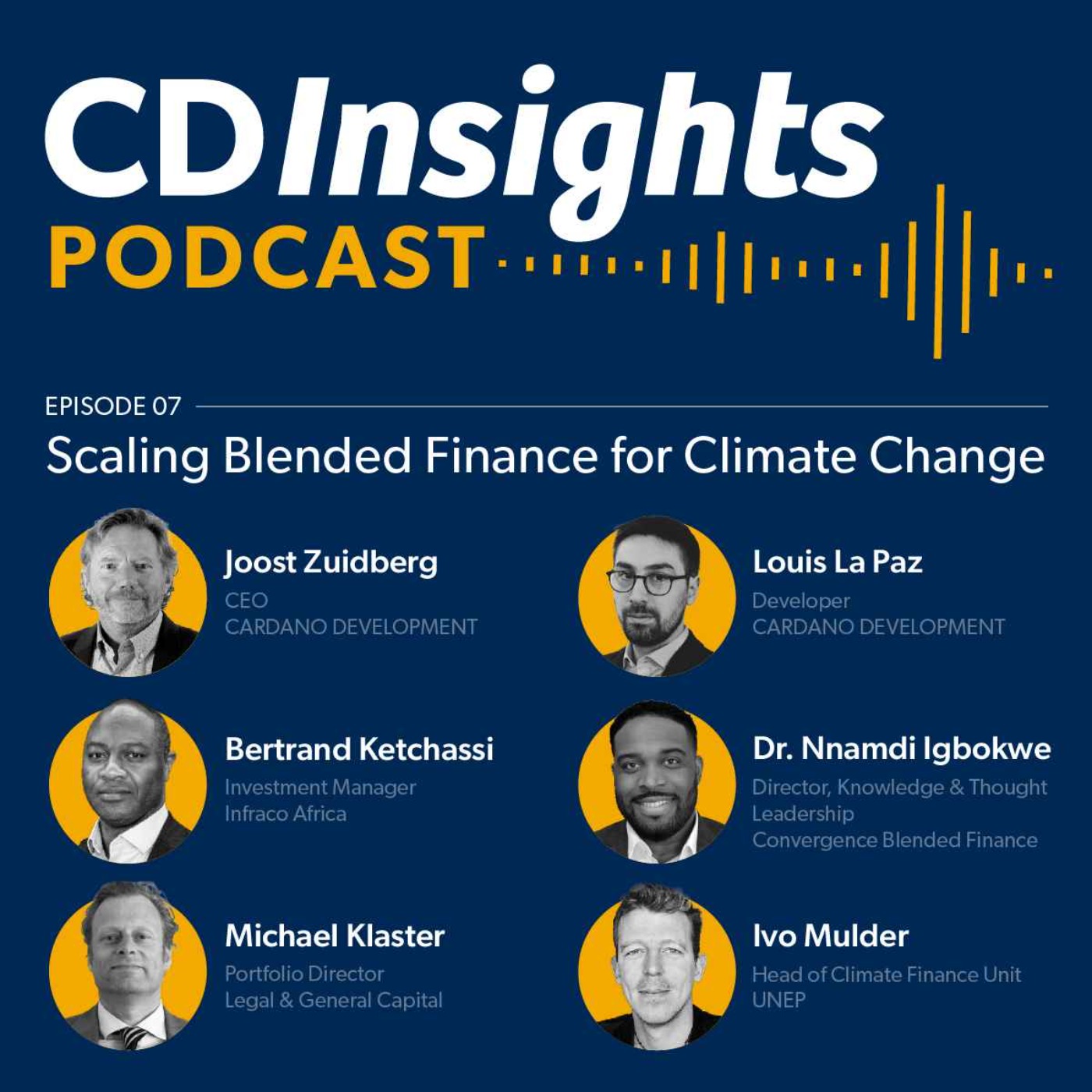 cover art for #7 Scaling blended finance for climate change