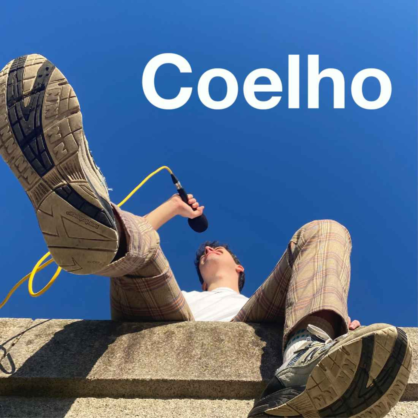 cover art for 11. Coelho