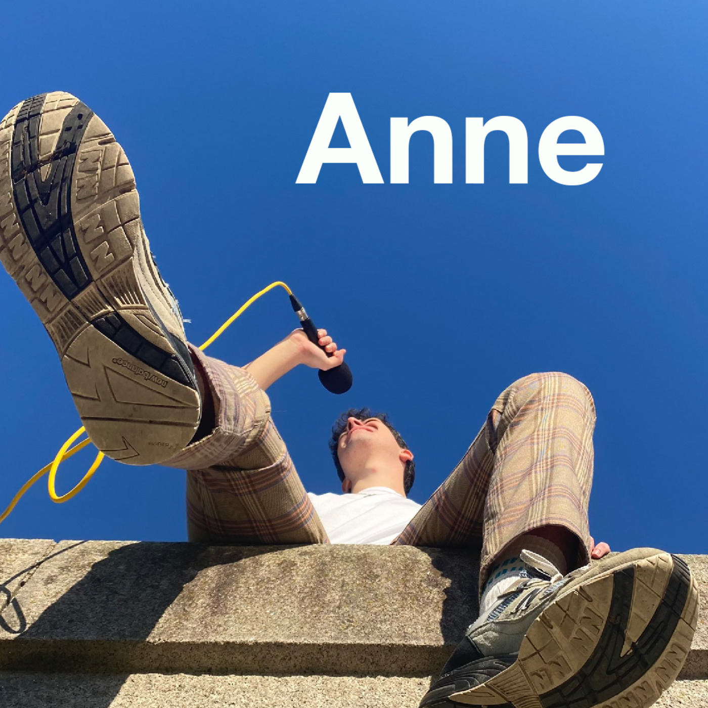 cover art for 12. Anne