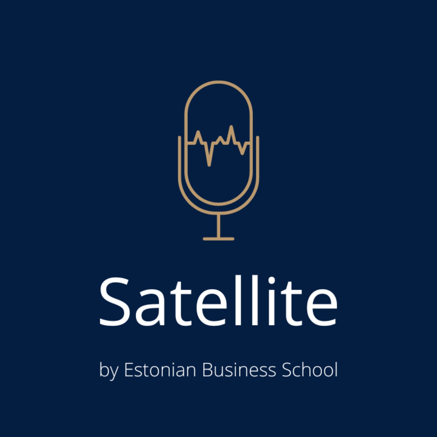 cover art for Satelliit #33: Võimalused haaramaks ettevõtluses juhirolli