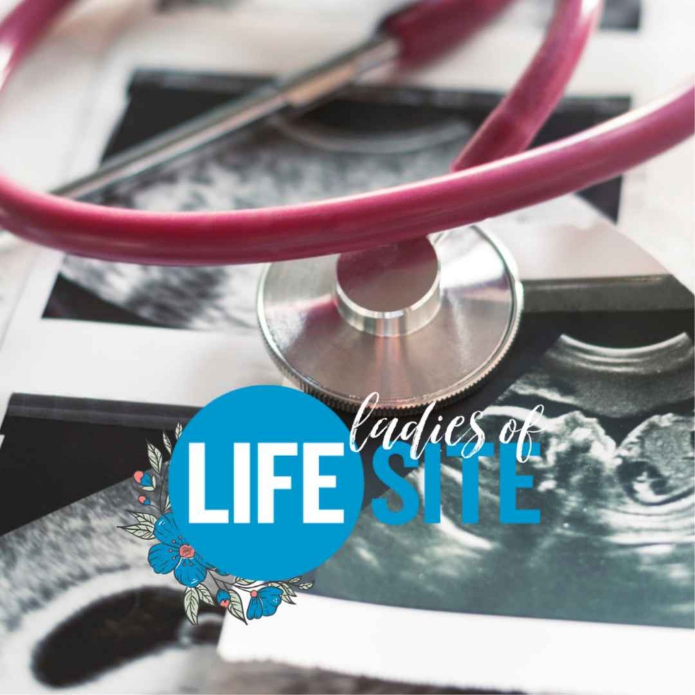 Ladies of LifeSite