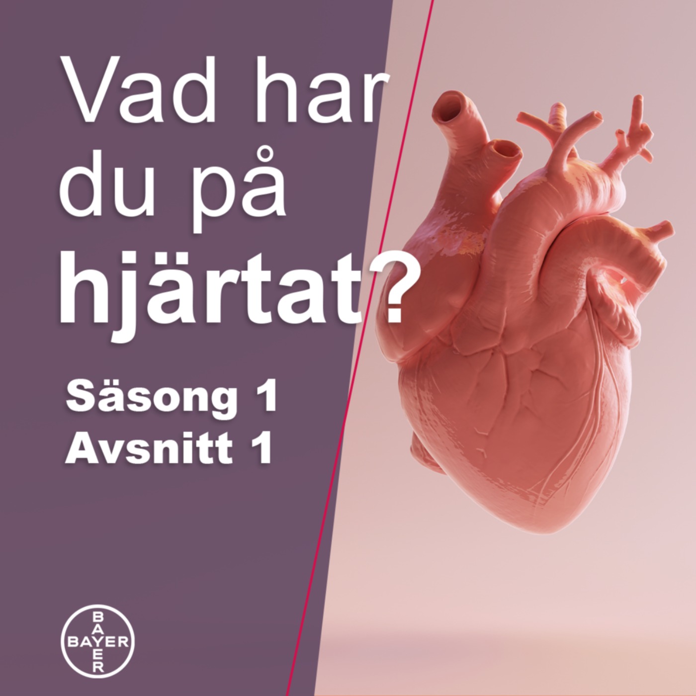 cover art for Lars Lund, Professor i kardiologi, berättar vad han har på hjärtat