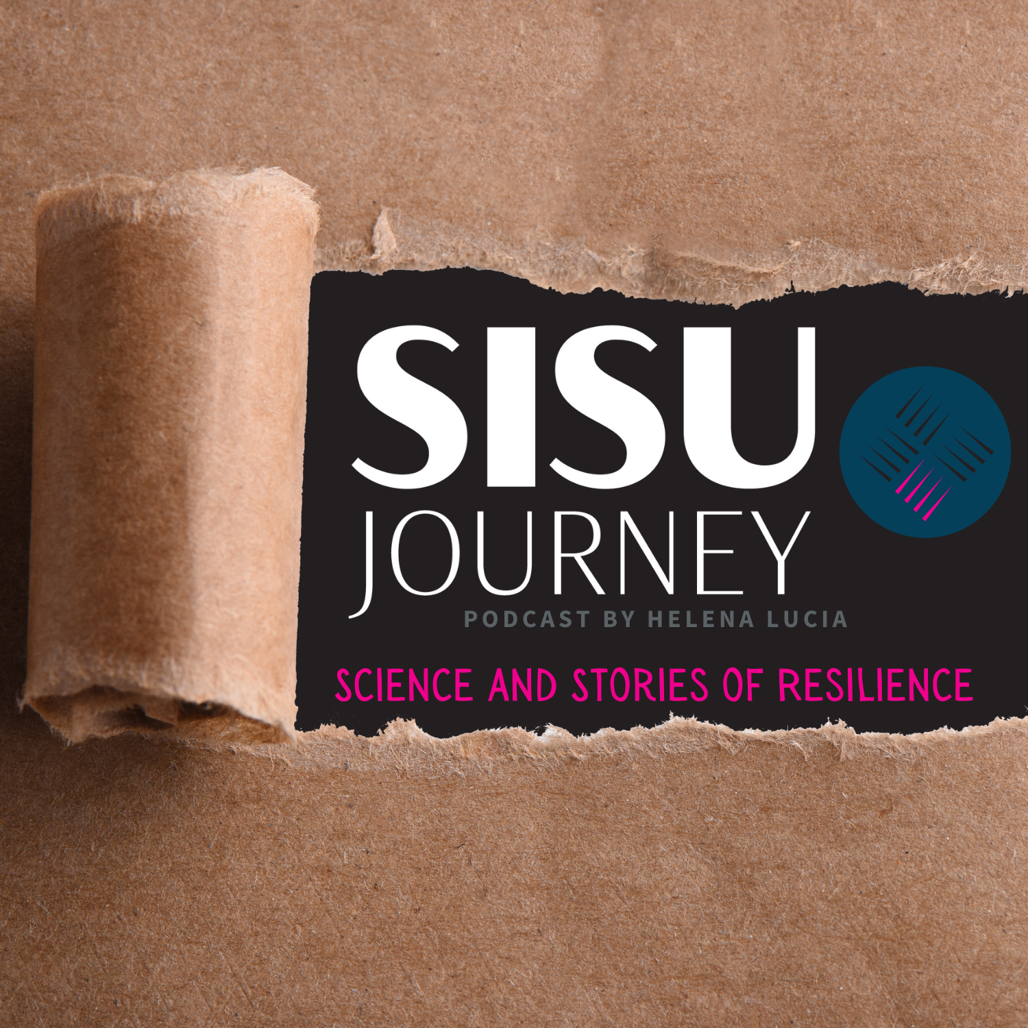 cover art for Trailer: Get ready for some SISU!