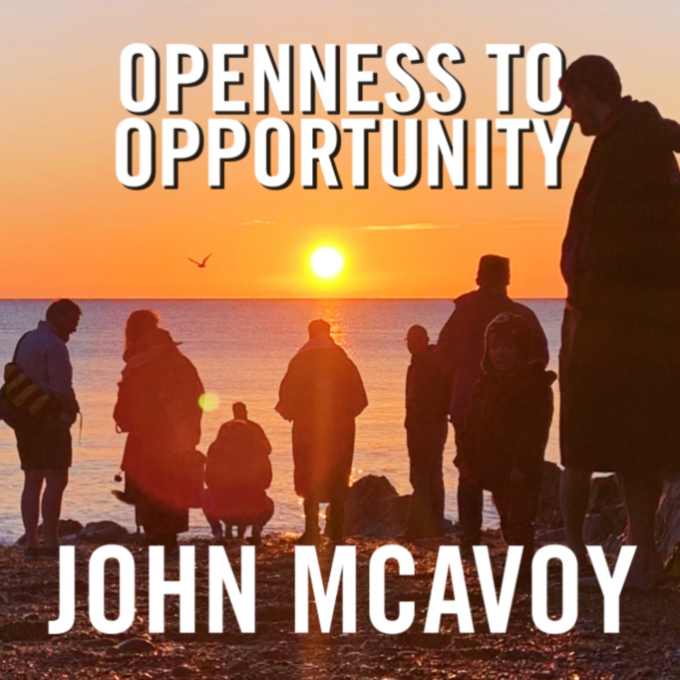 The Happy Pear Podcast