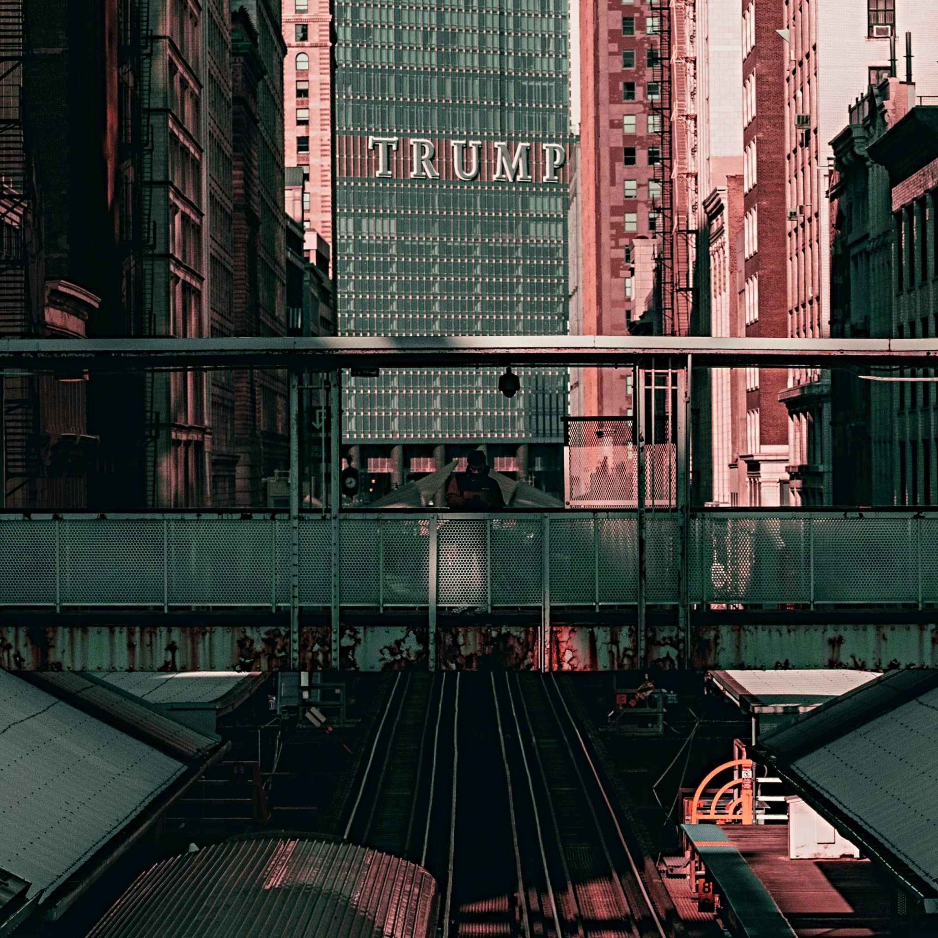 The Far Left's Dissent into Trumpism  episode artwork