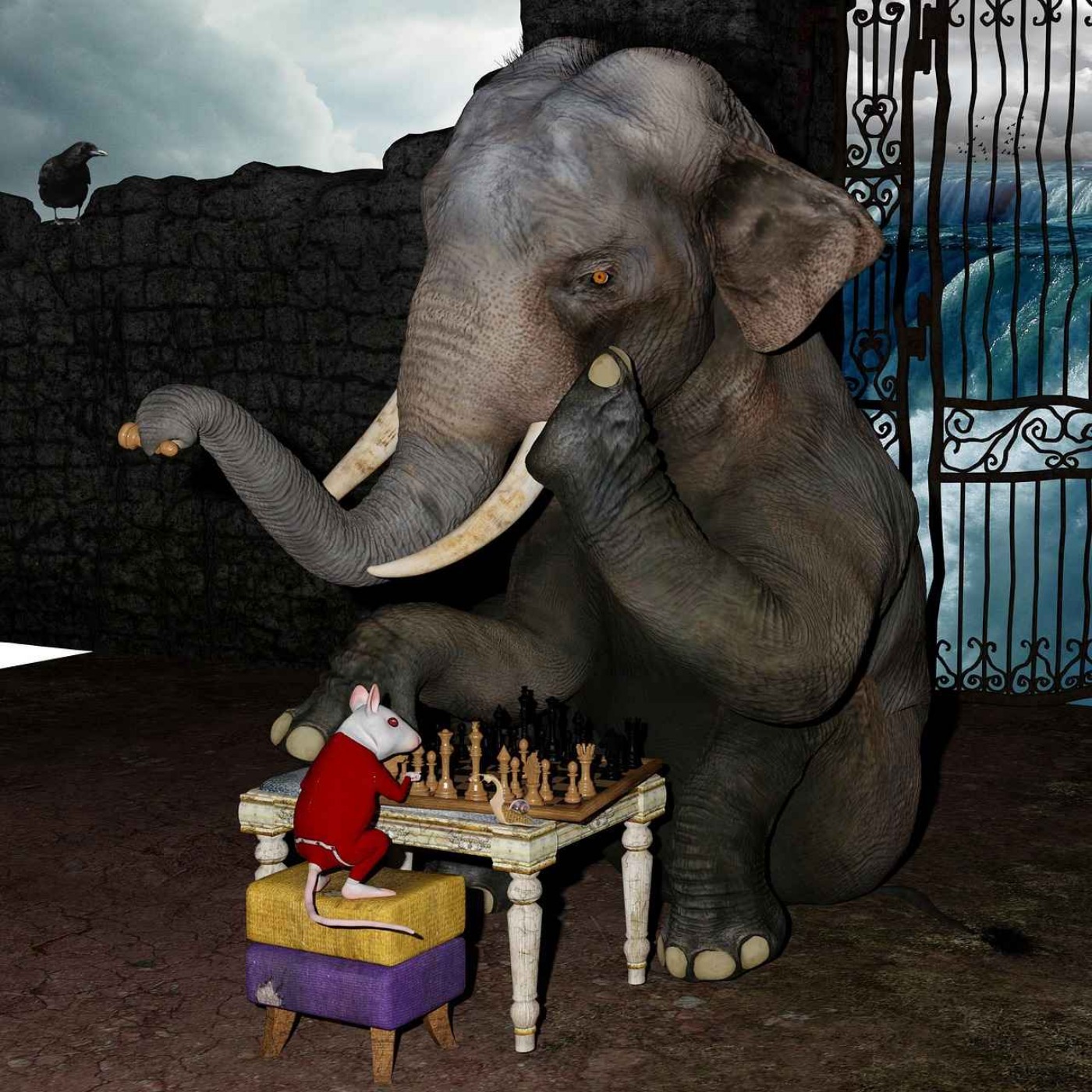 Senate Democrats Cave to Republicans episode artwork