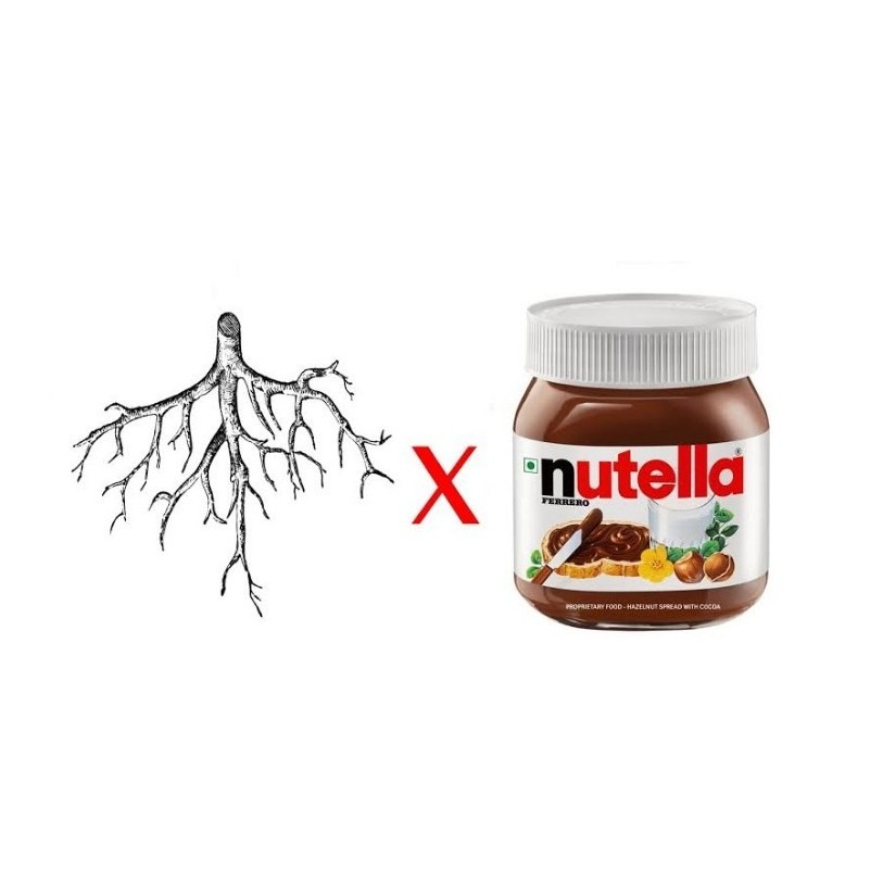 Português Pra Fora