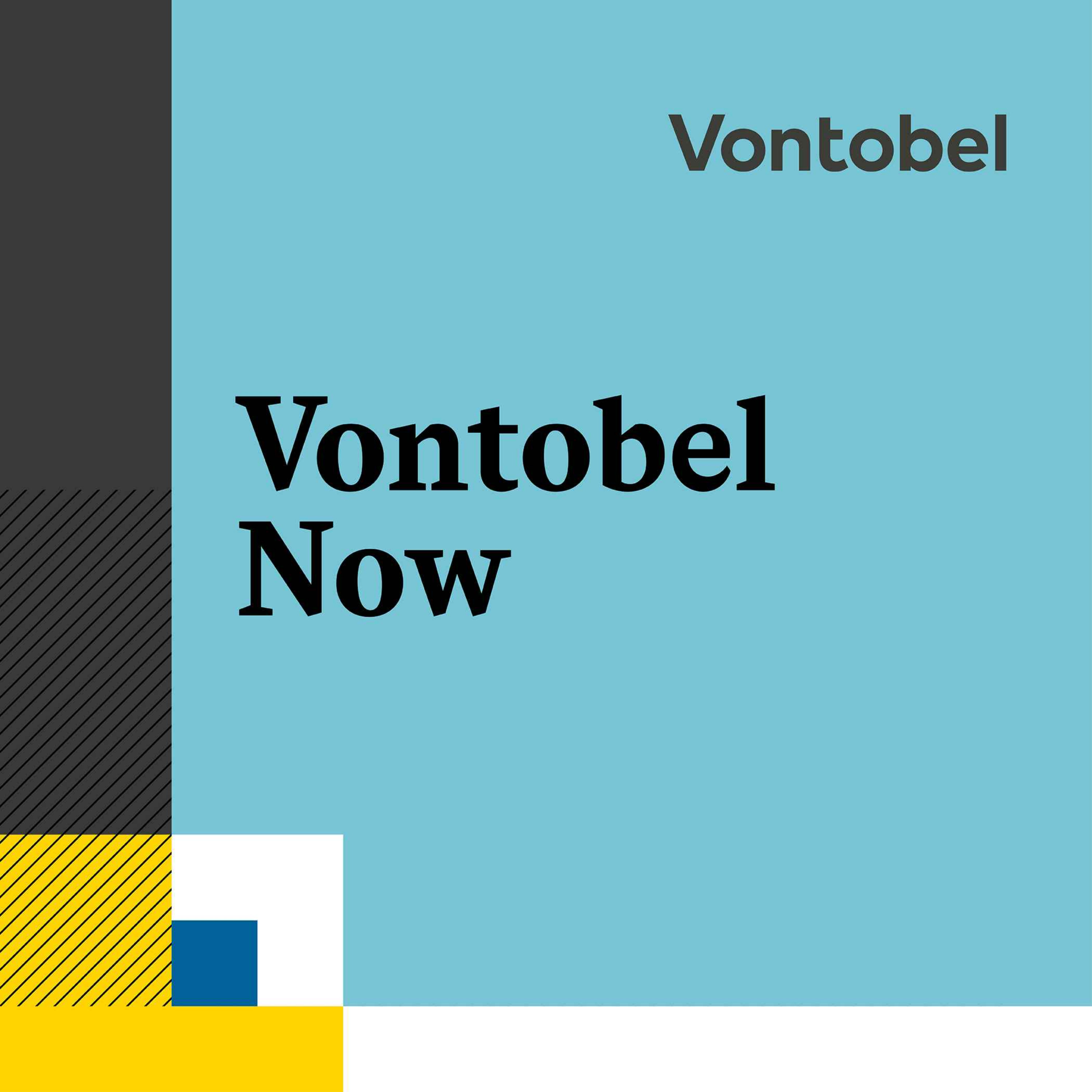 cover art for What is Vontobel Now?