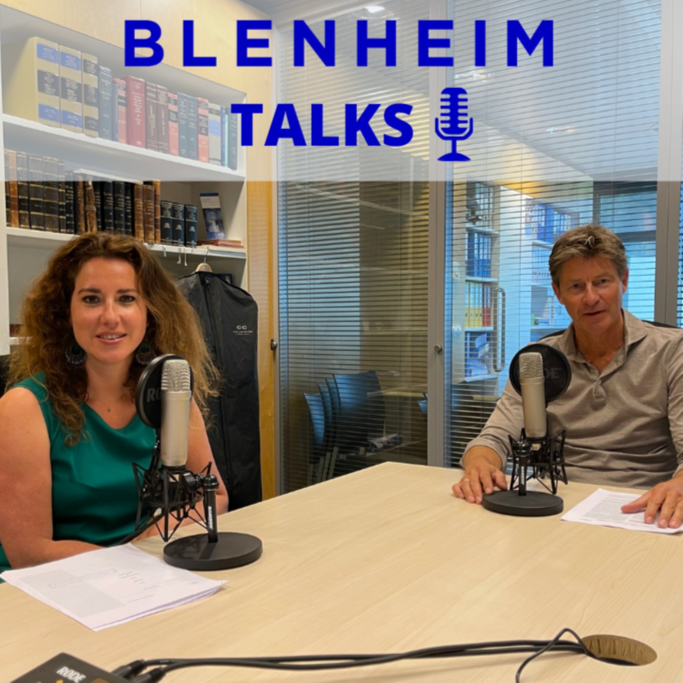 cover art for Blenheim Talks | Steunmaatregelen overheid