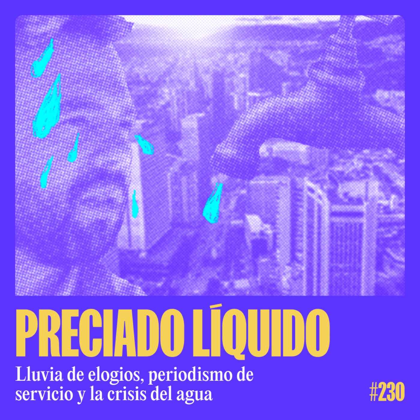 cover art for Preciado líquido