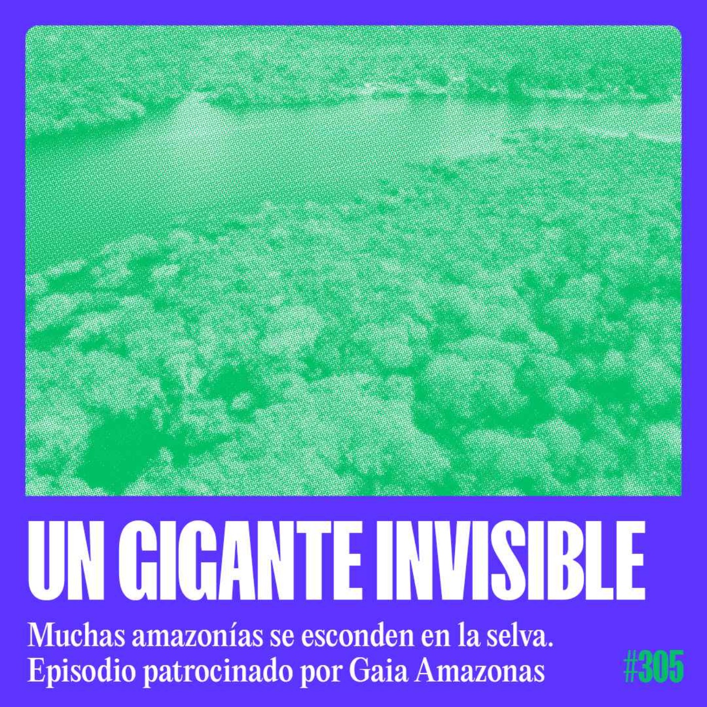 Muchas Amazonías