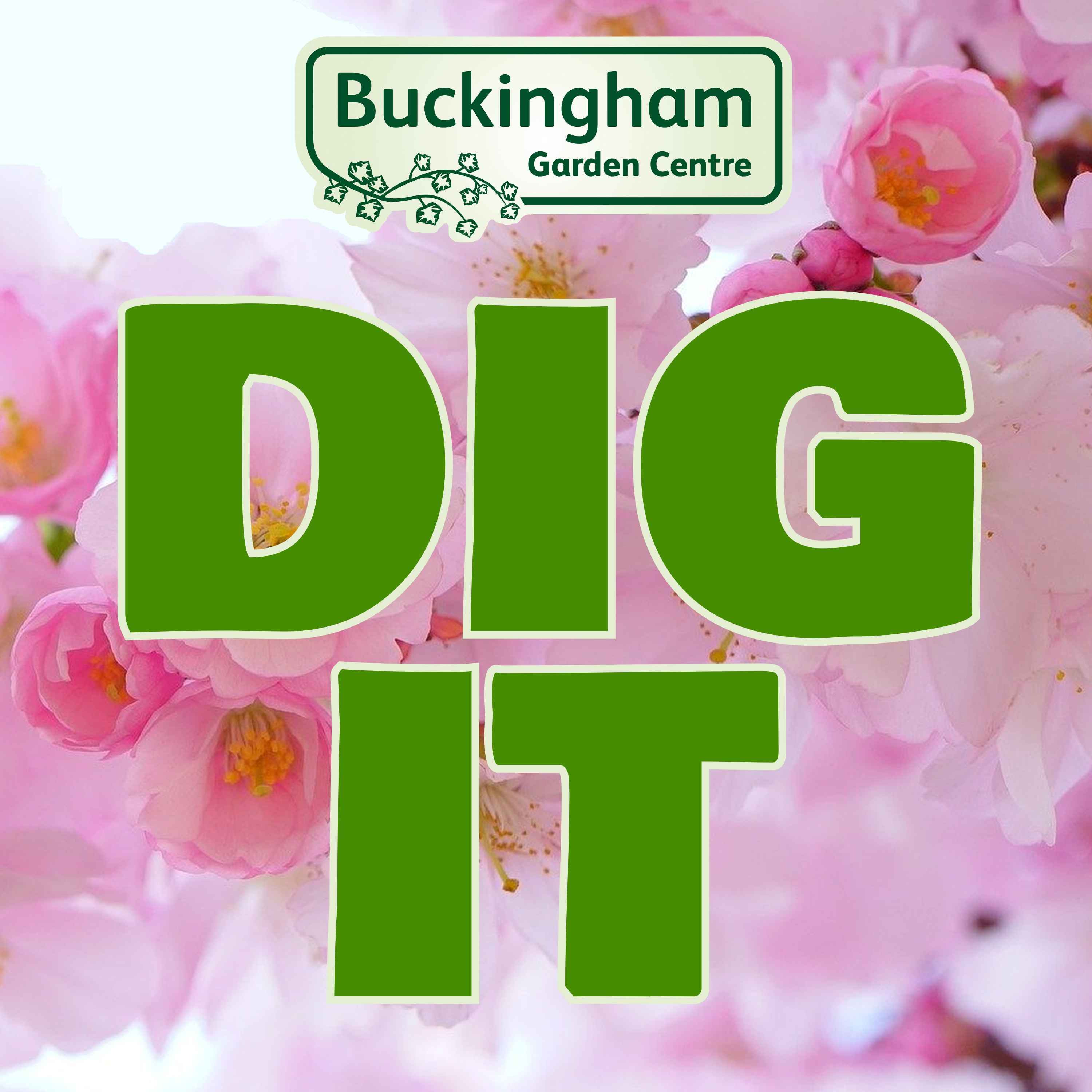 How to be a Better Wildlife Gardener