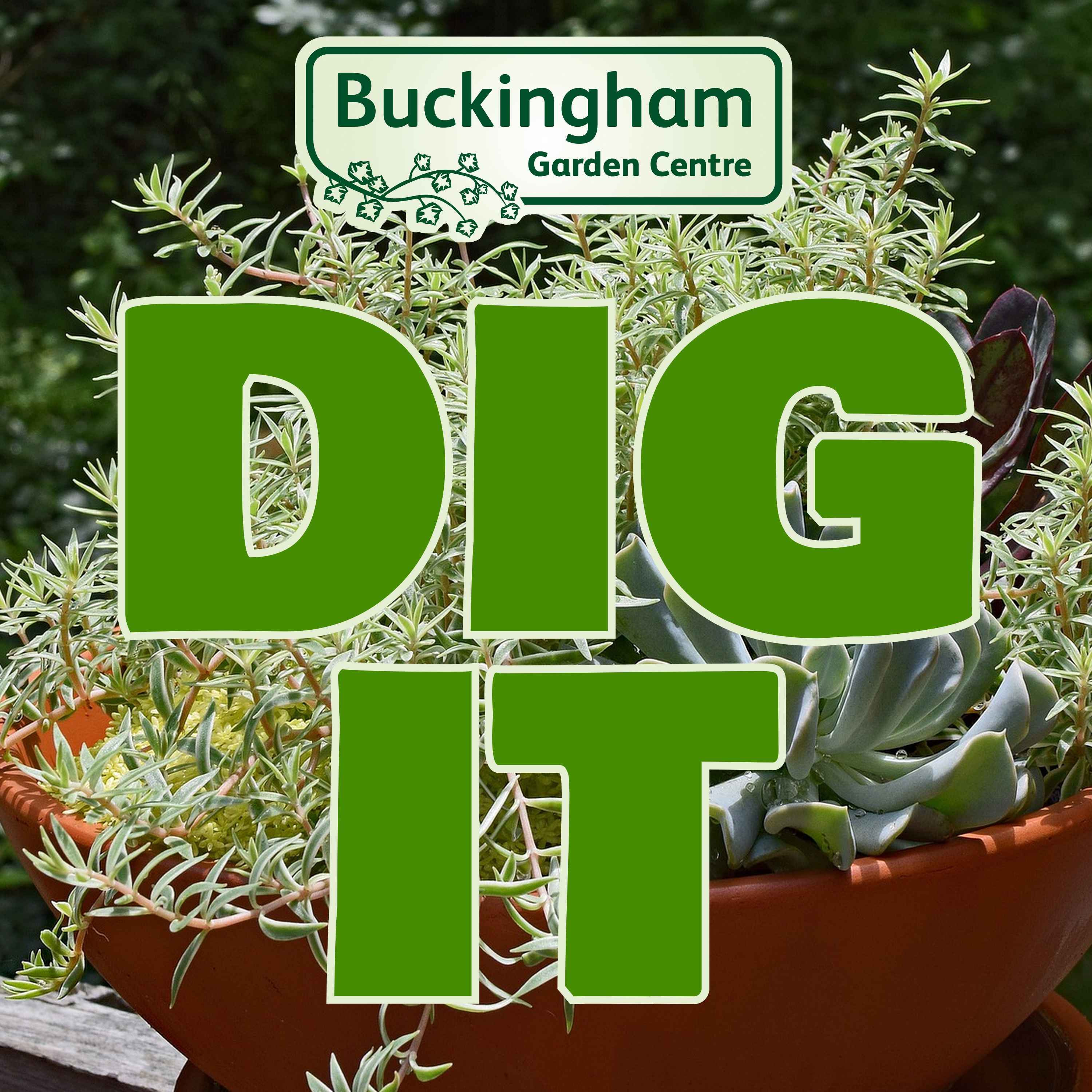 Container Gardening with Kathy Brown
