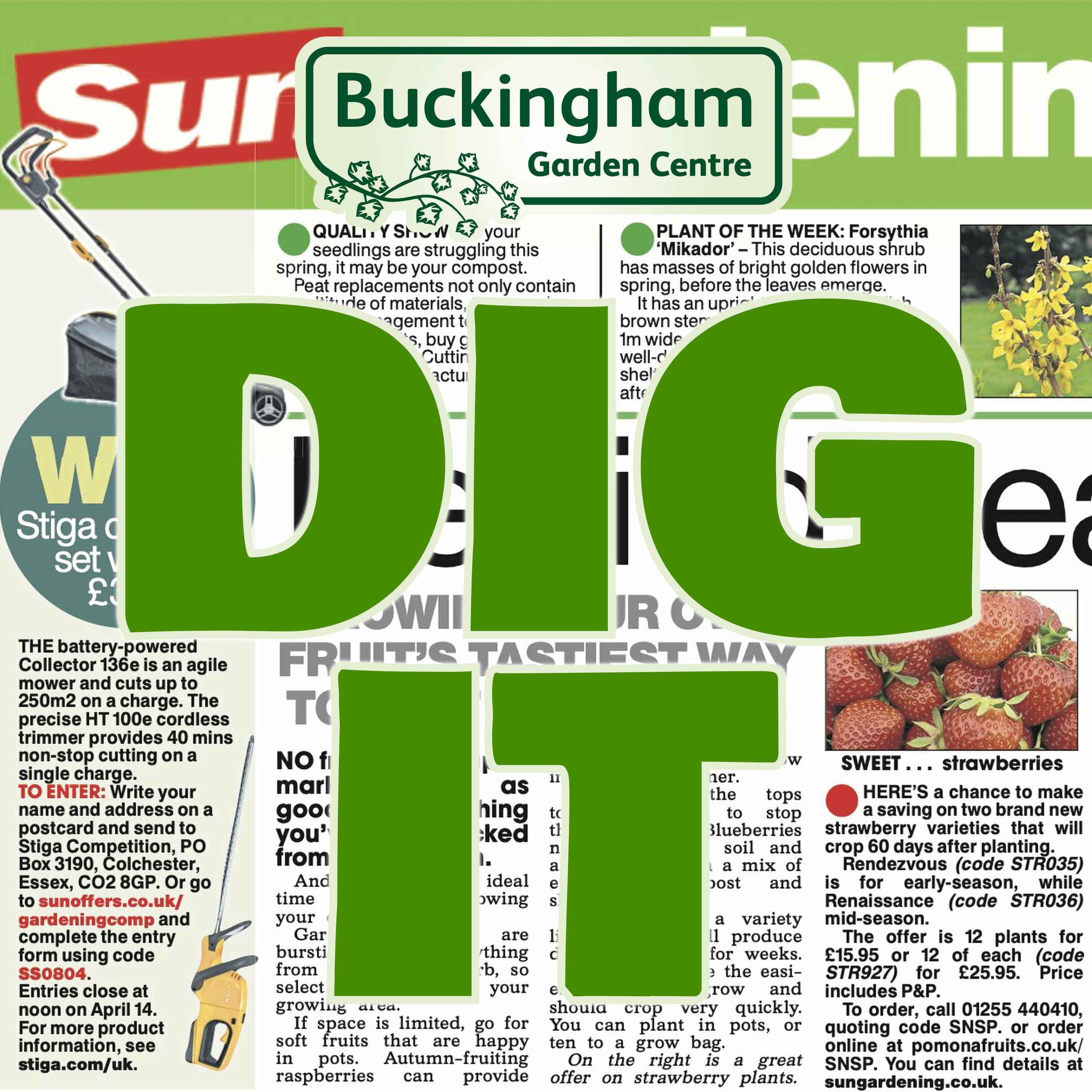 Steve Bradley, The Sun's Gardening Correspondent