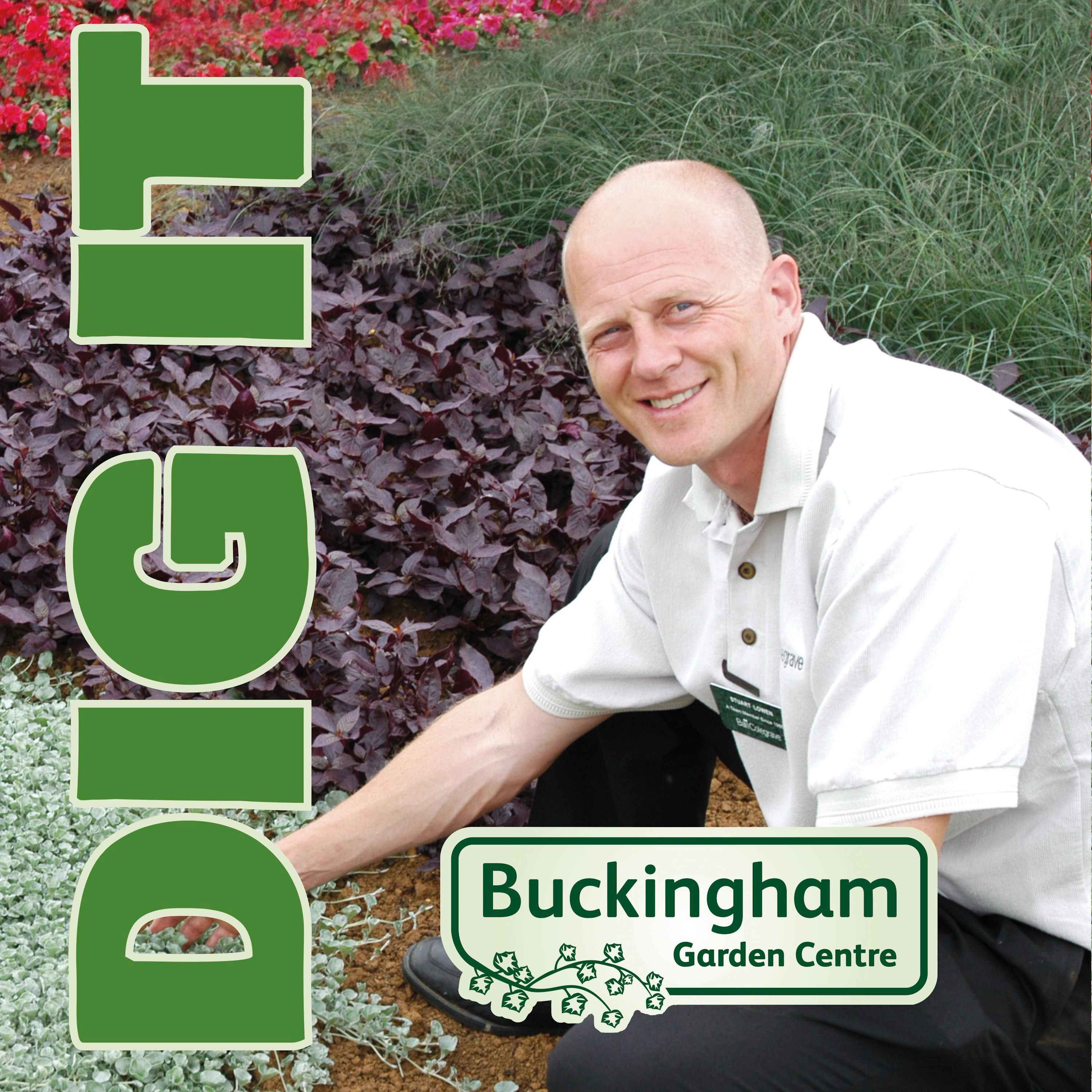 Choosing the Perfect Bed with Stuart Lowen