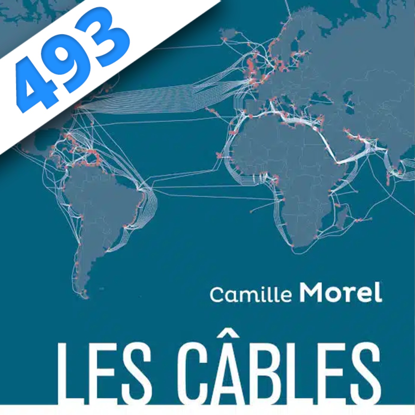 493 - Internet pète un câble, partie 2 avec Camille Morel