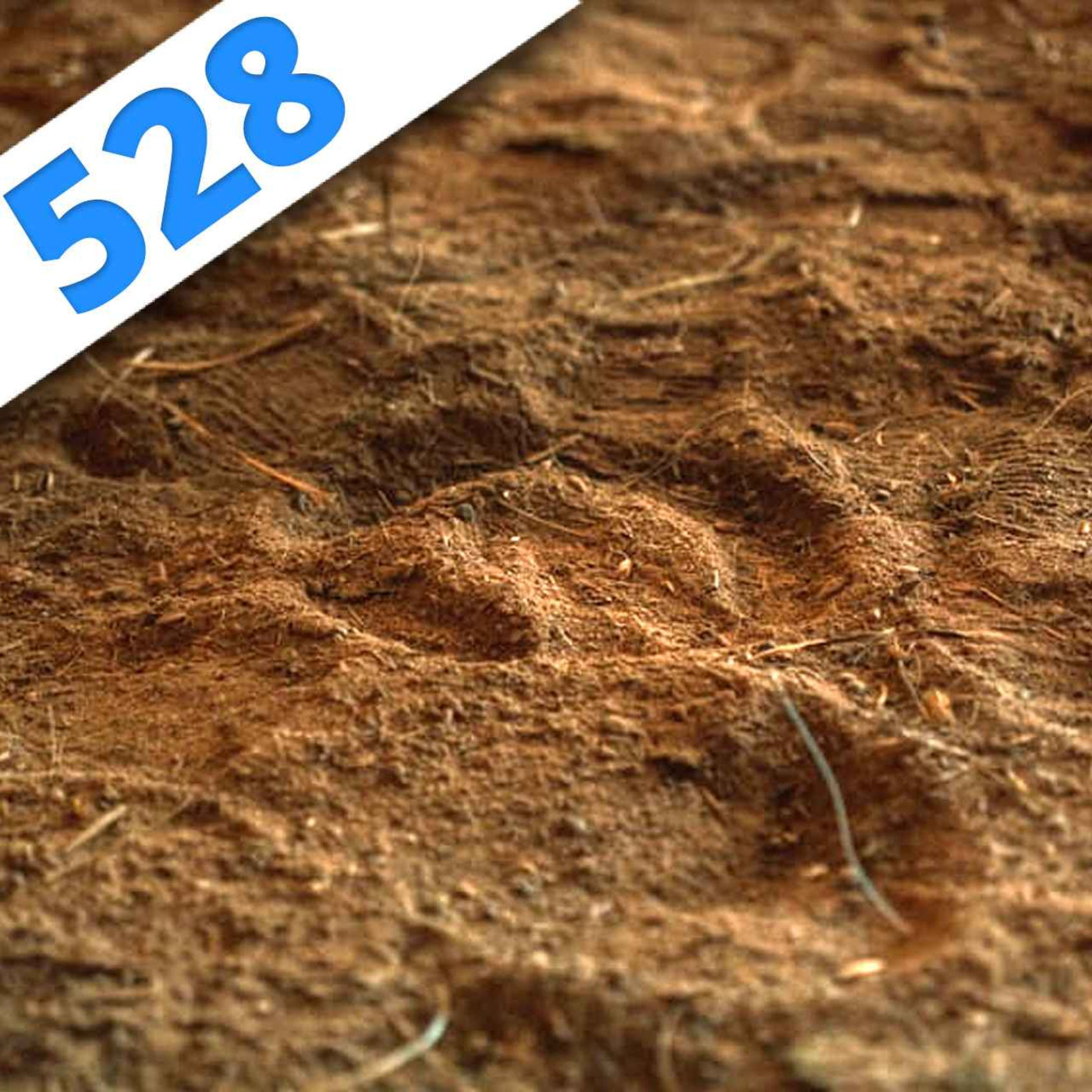 528 – Le Podcast qui se Terre