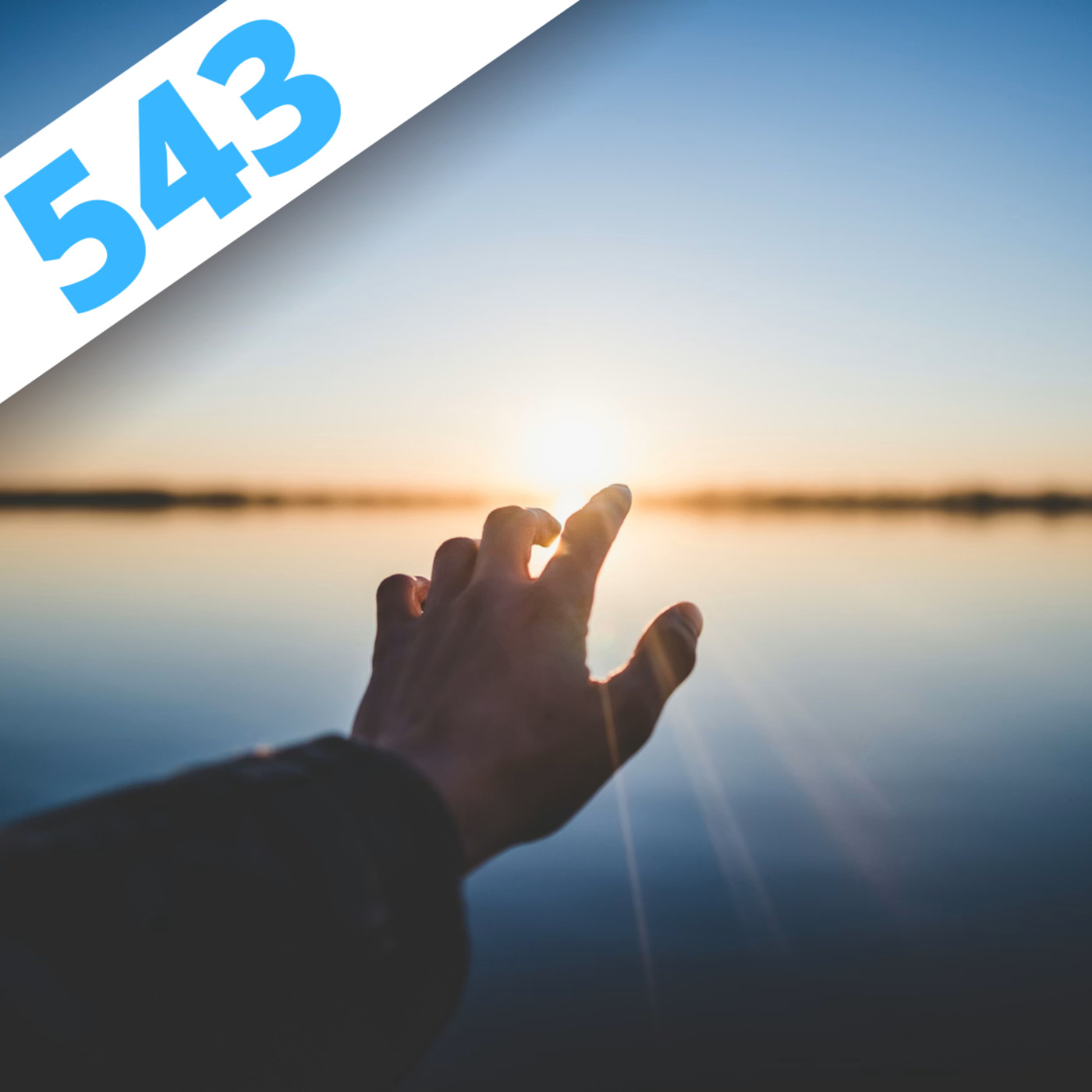 543 - L'espoir fait vivre